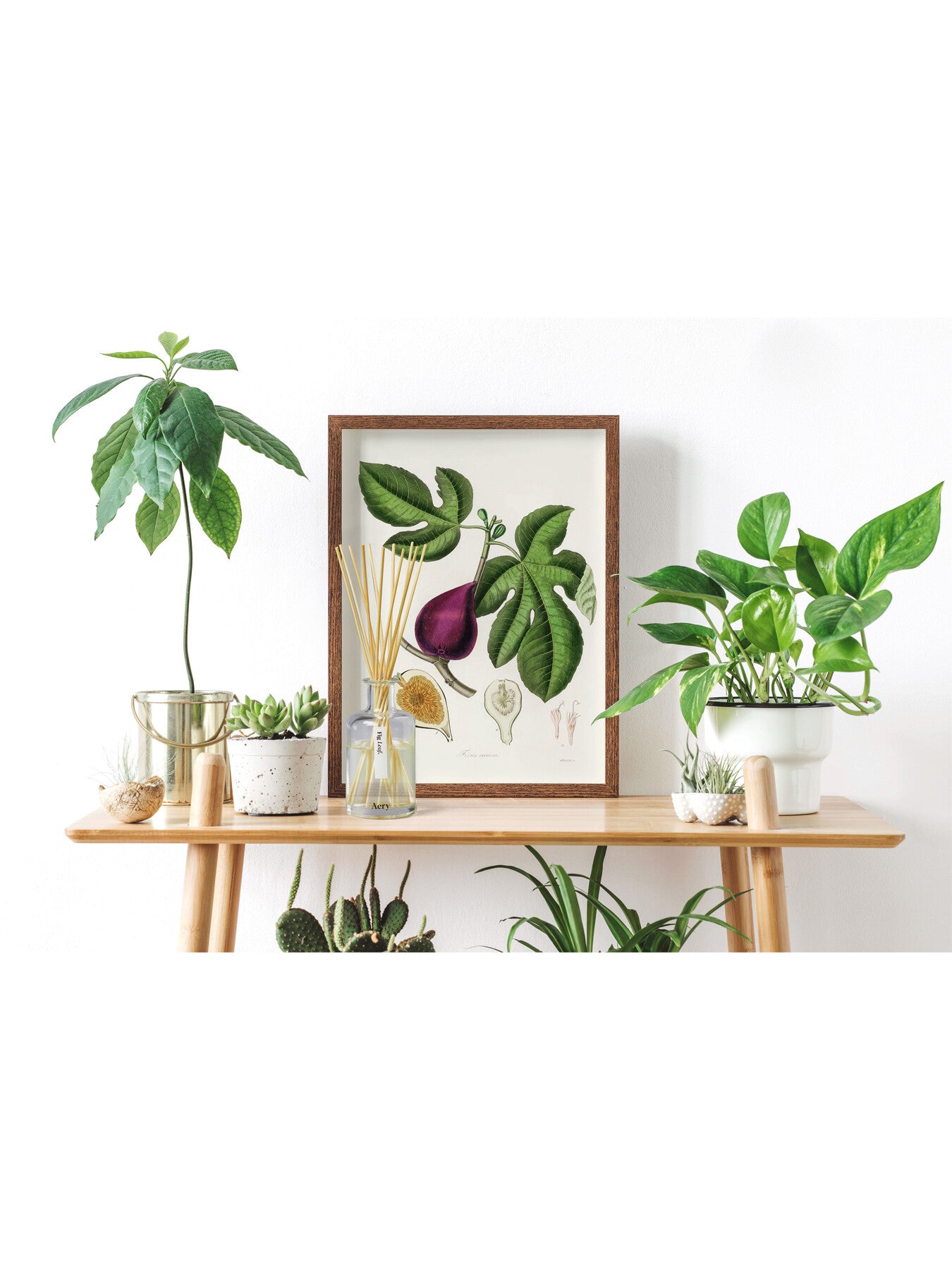 Fig Leaf Botanical Diffuser