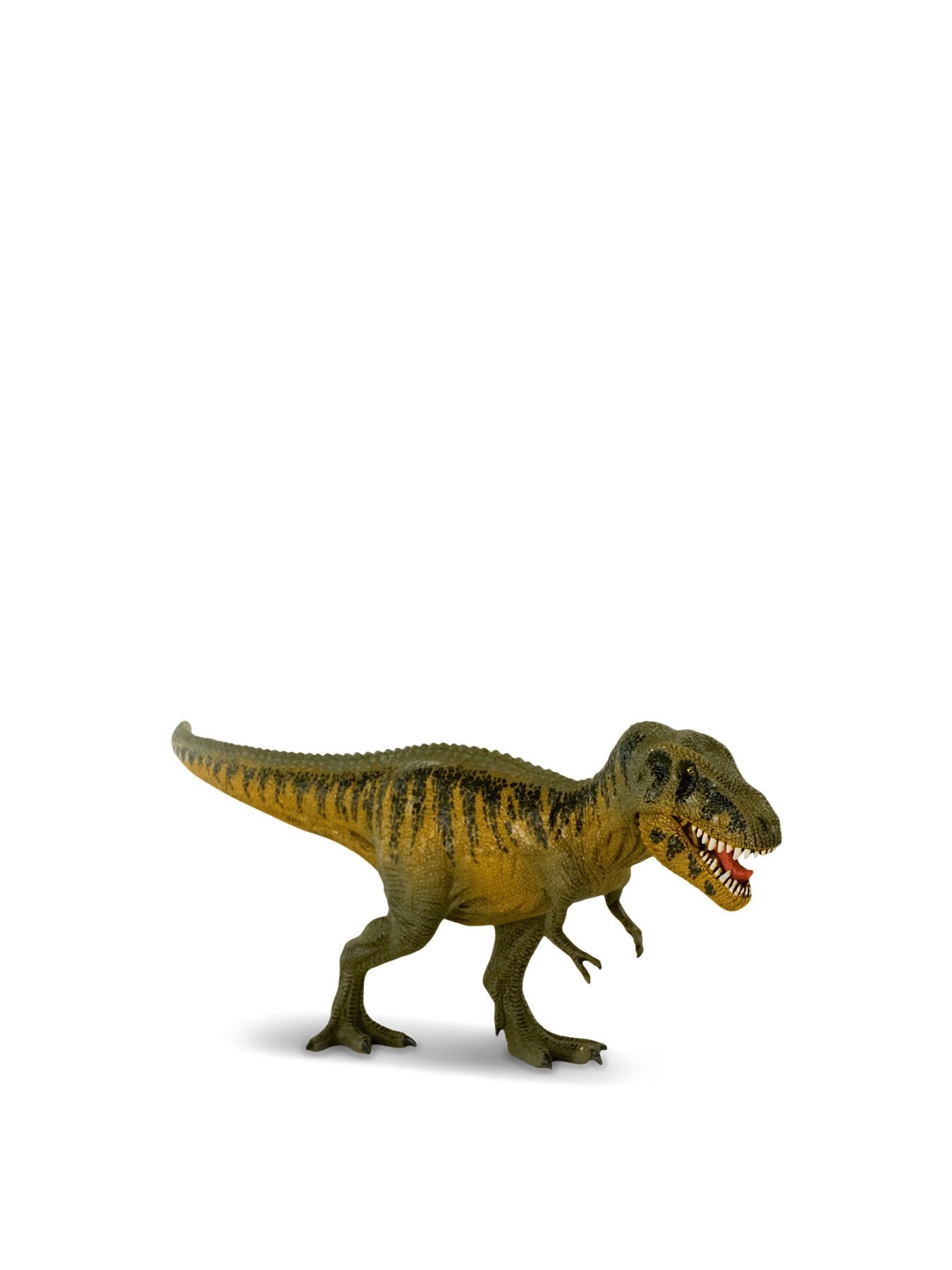 Tarbosaurus