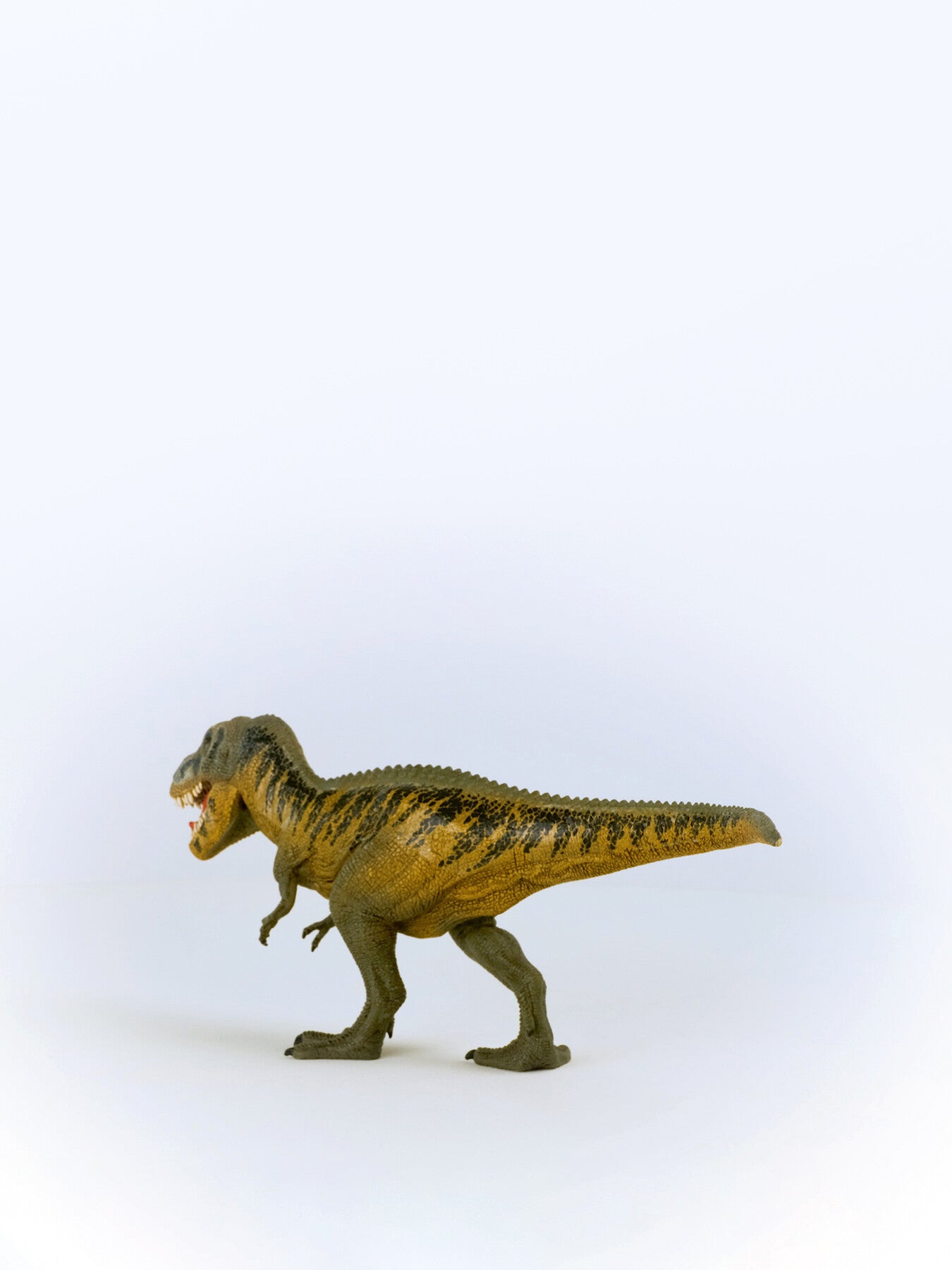 Tarbosaurus