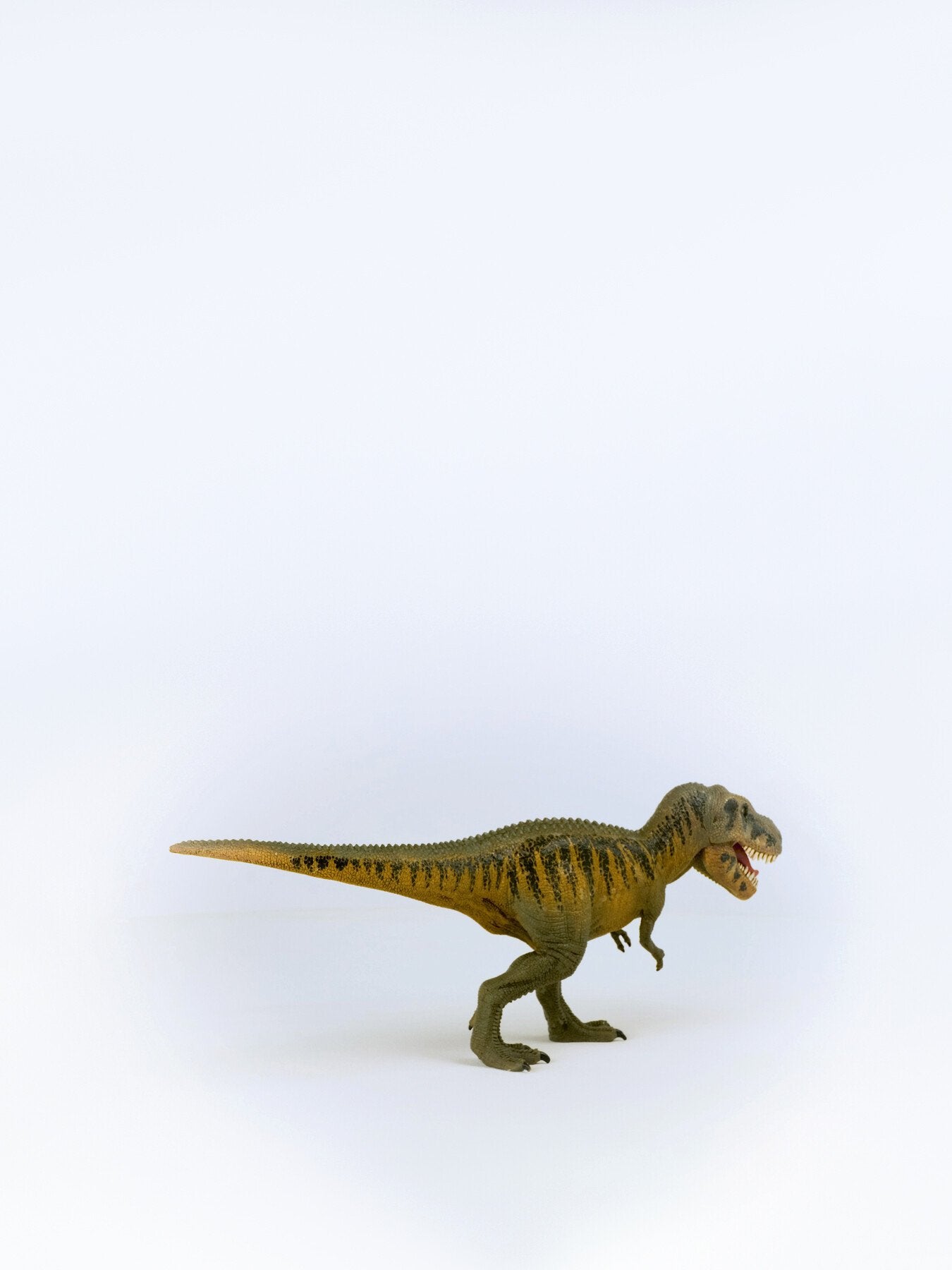 Tarbosaurus