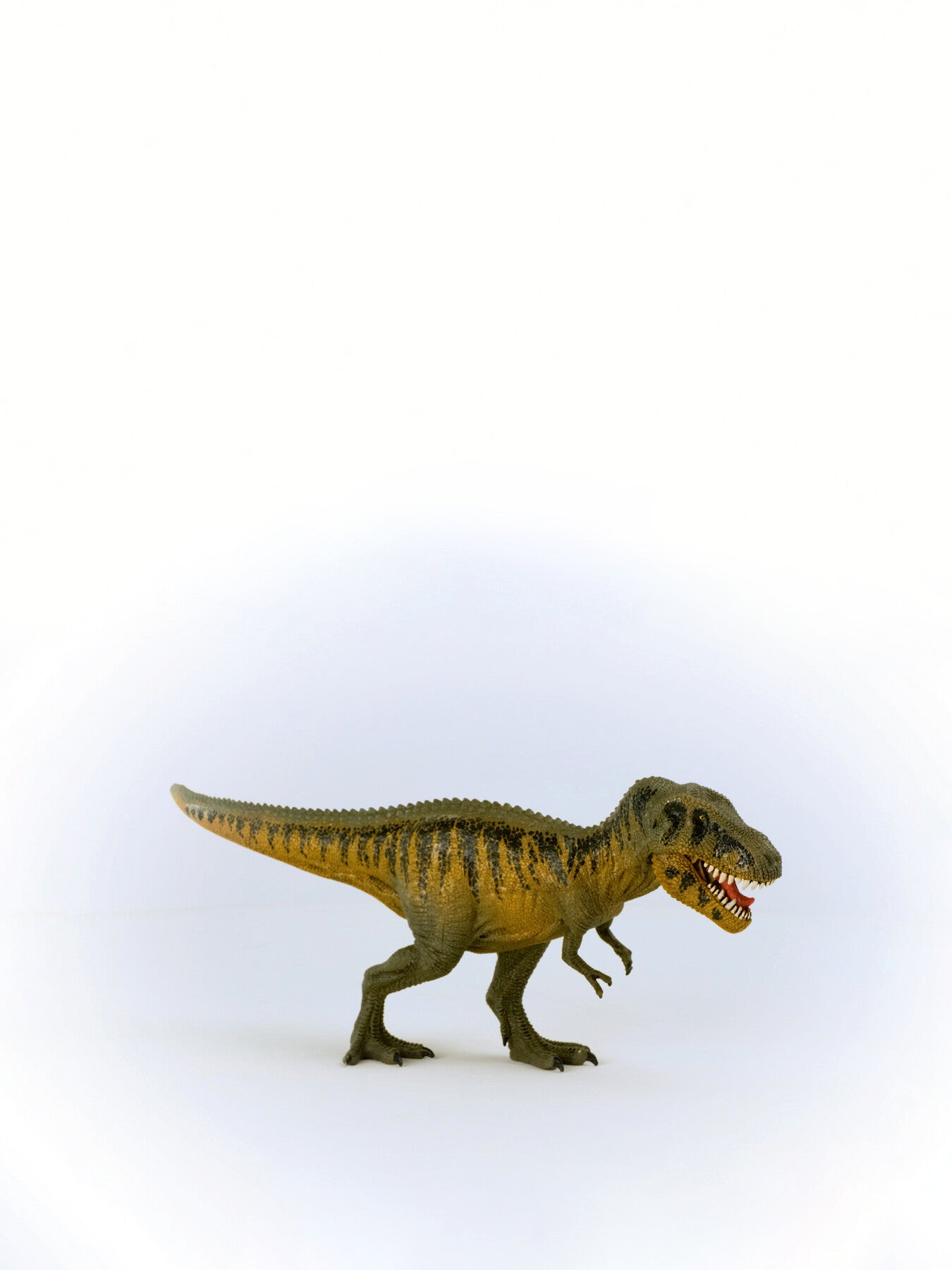 Tarbosaurus