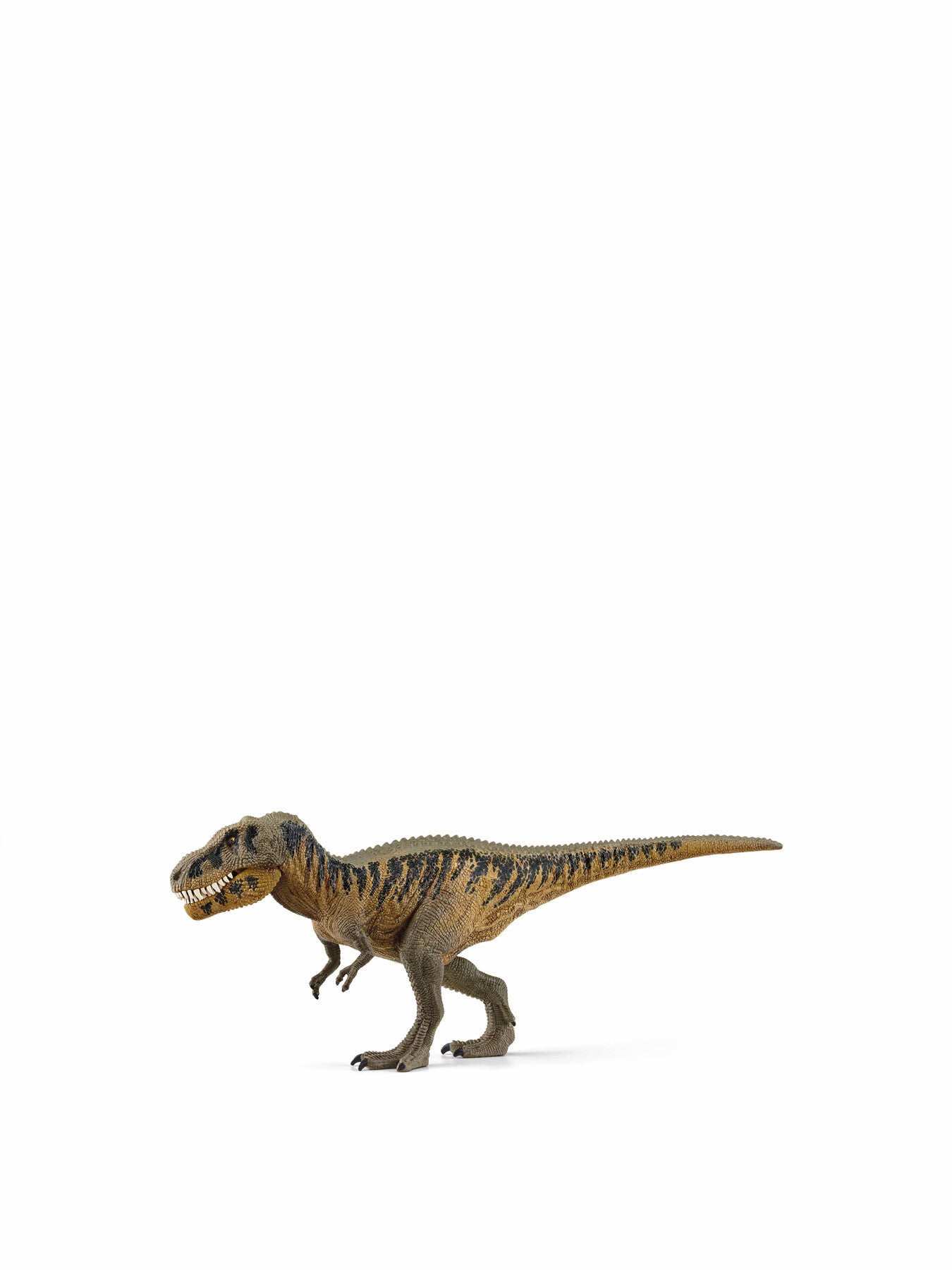 Tarbosaurus