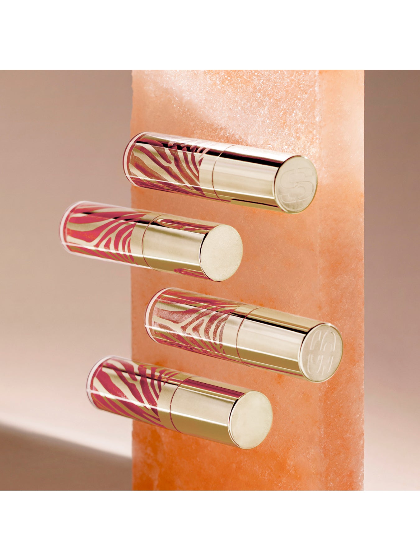 Le Phyto Lip Gloss