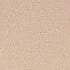 Warm Beige