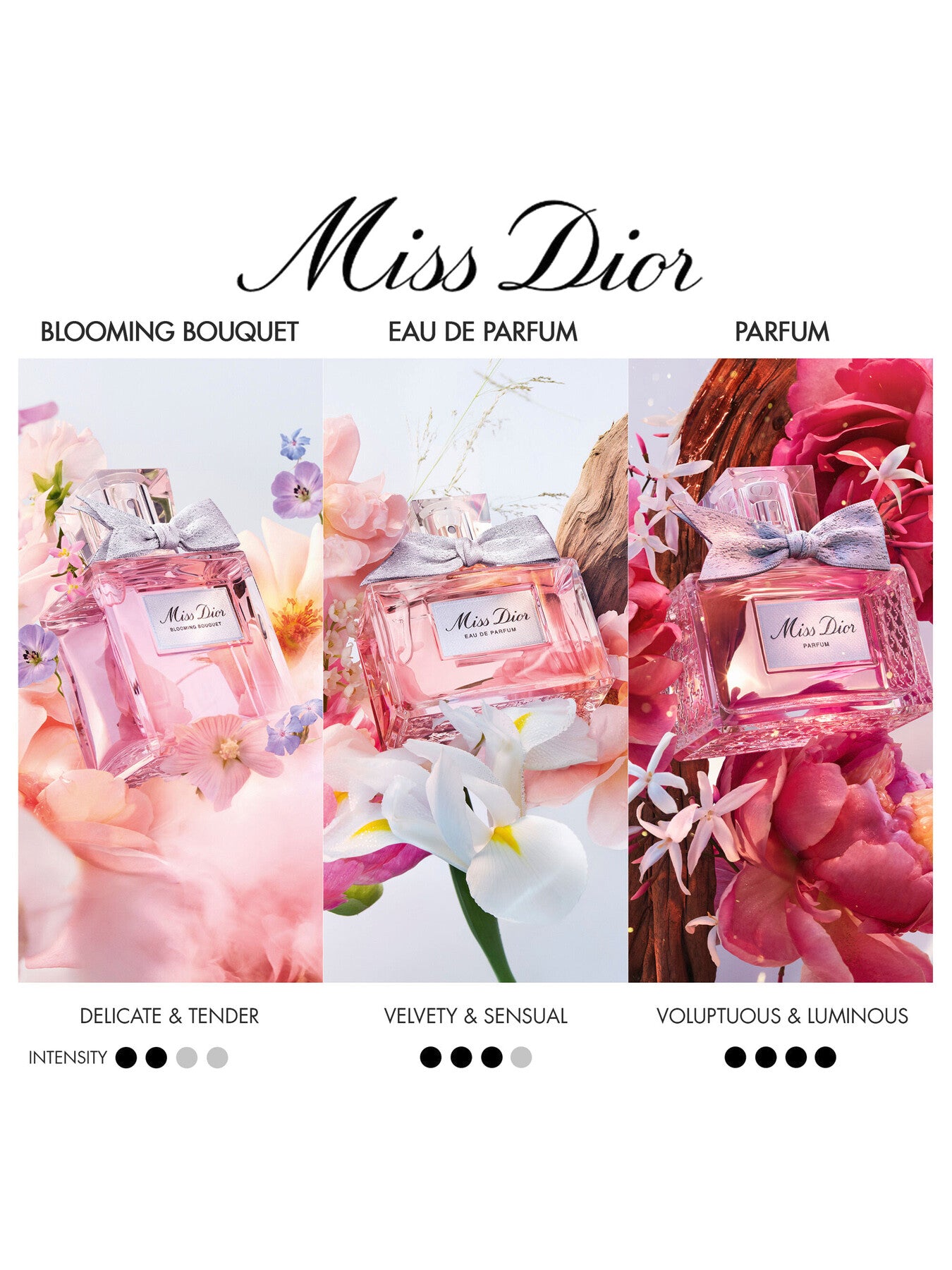 Miss Dior Blooming Bouquet Eau de Toilette 30ml