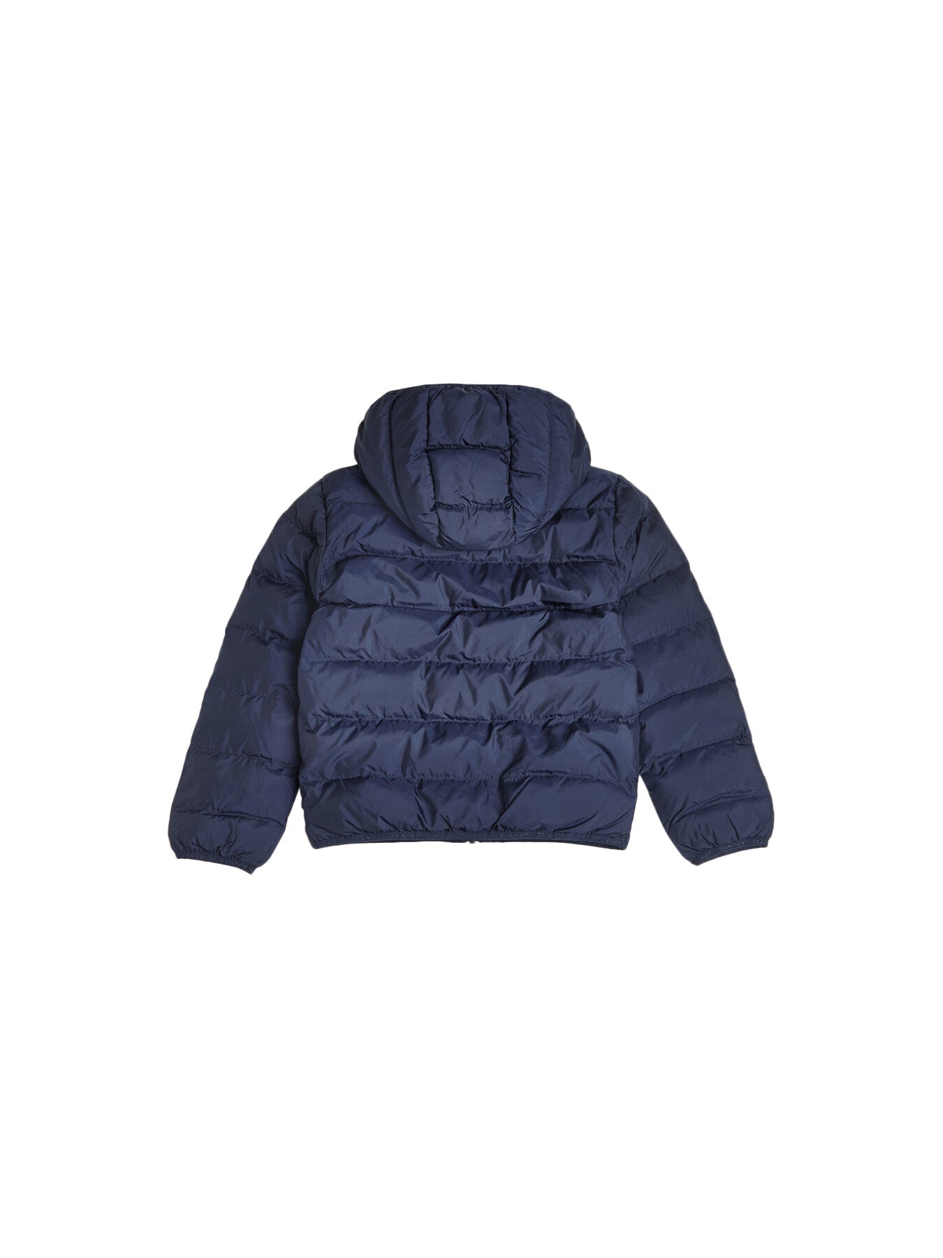 Light Padded Shield Jacket