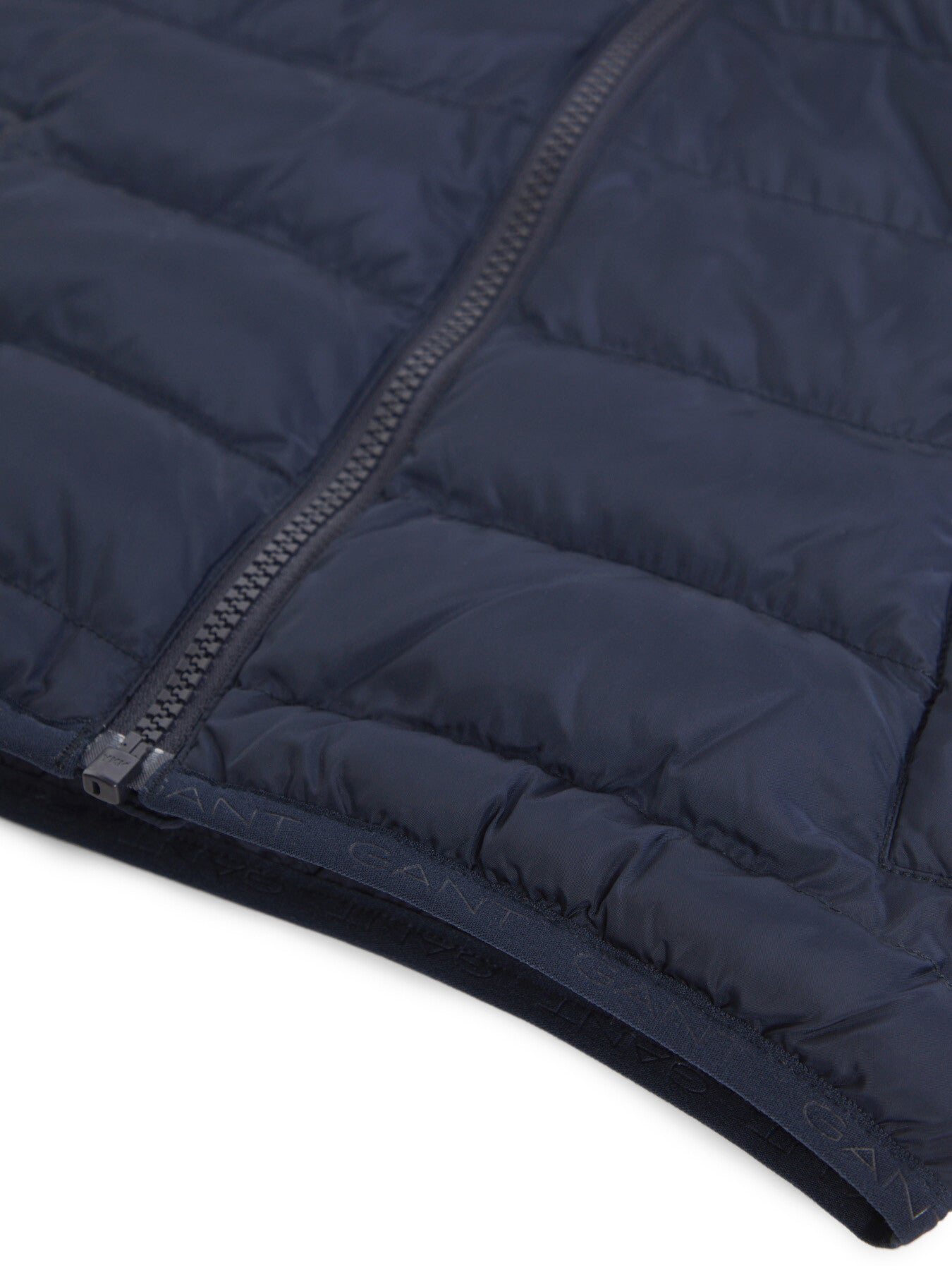 Light Padded Shield Jacket