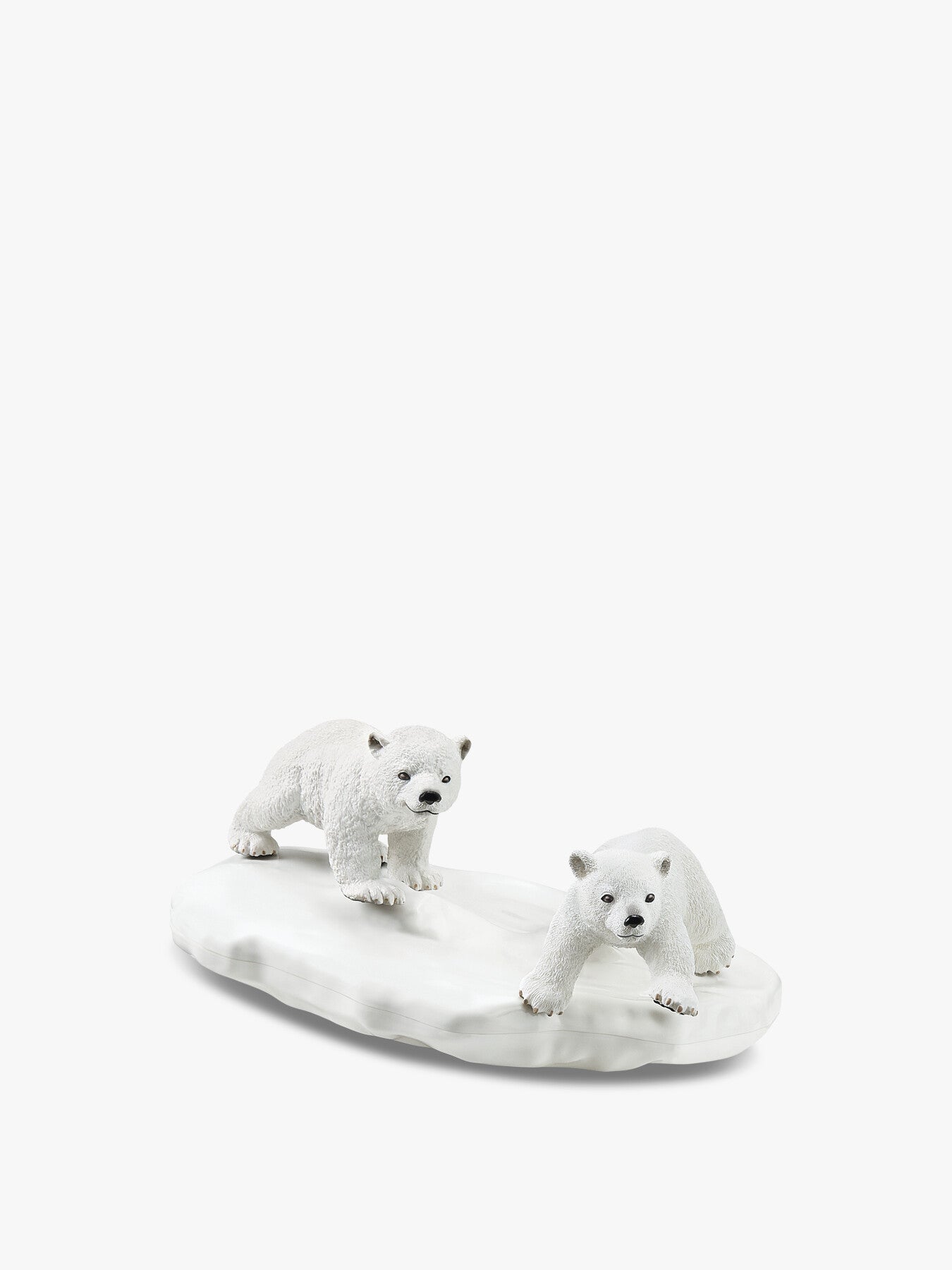 Polar Playground