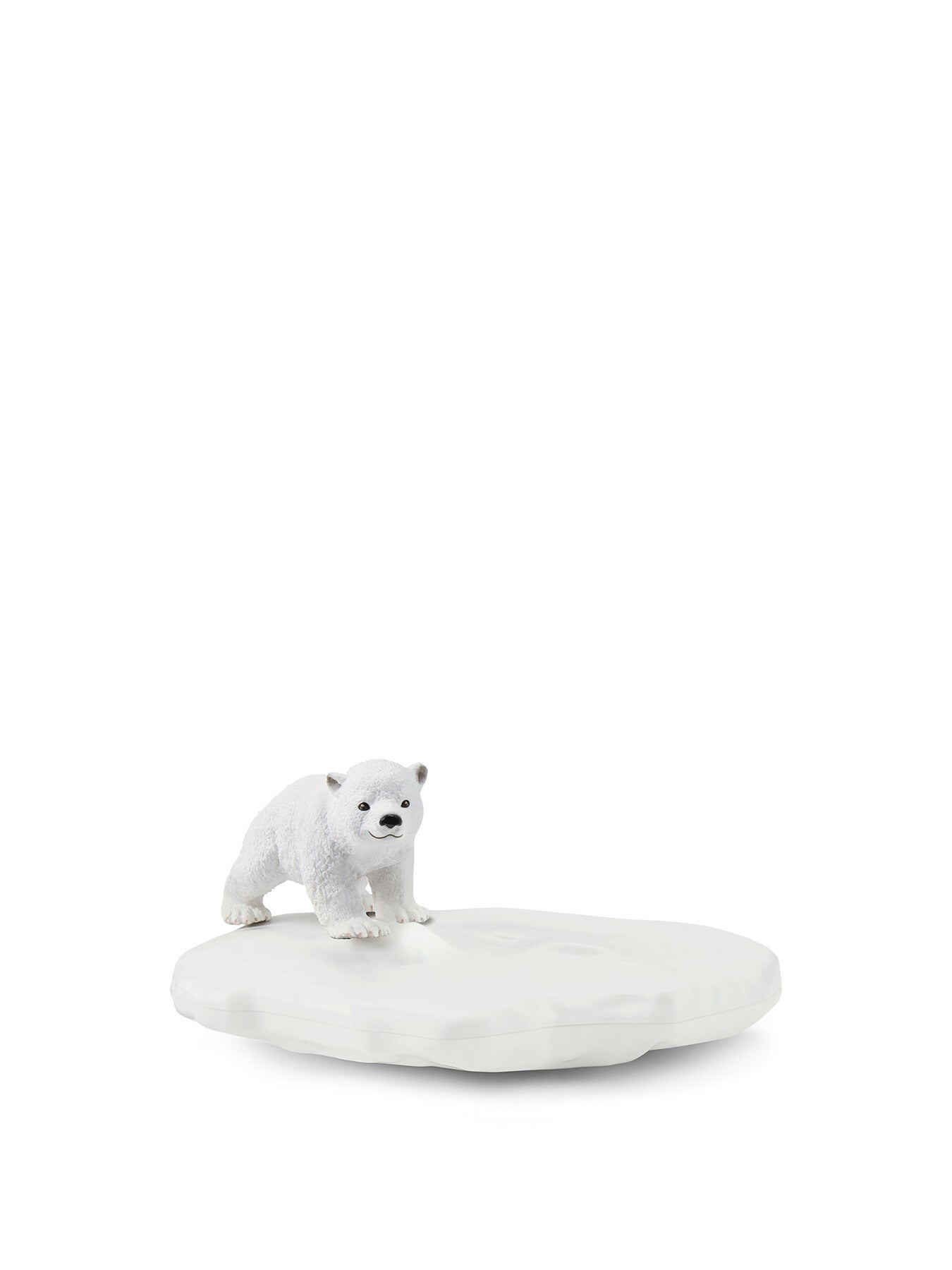 Polar Playground