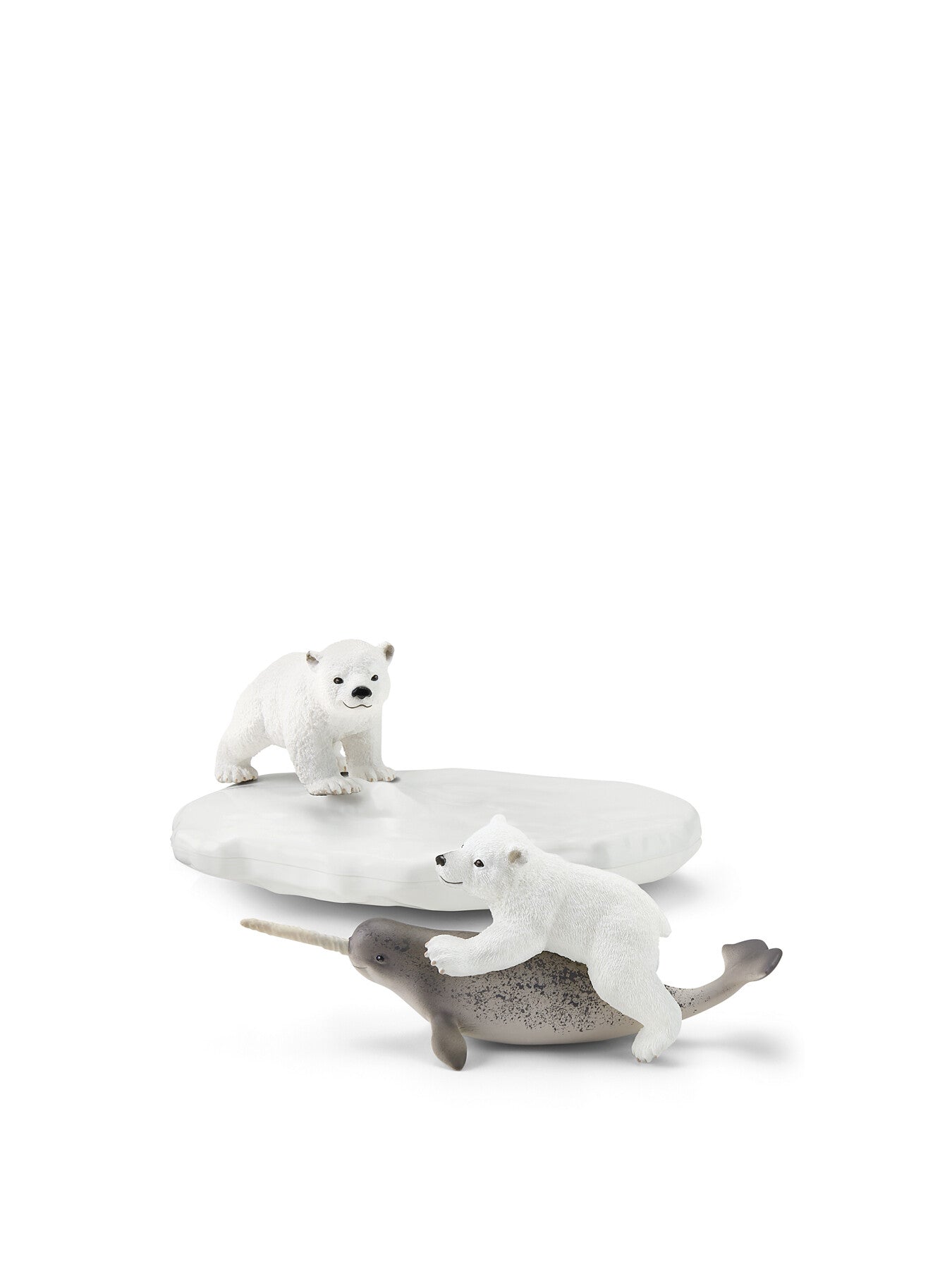 Polar Playground