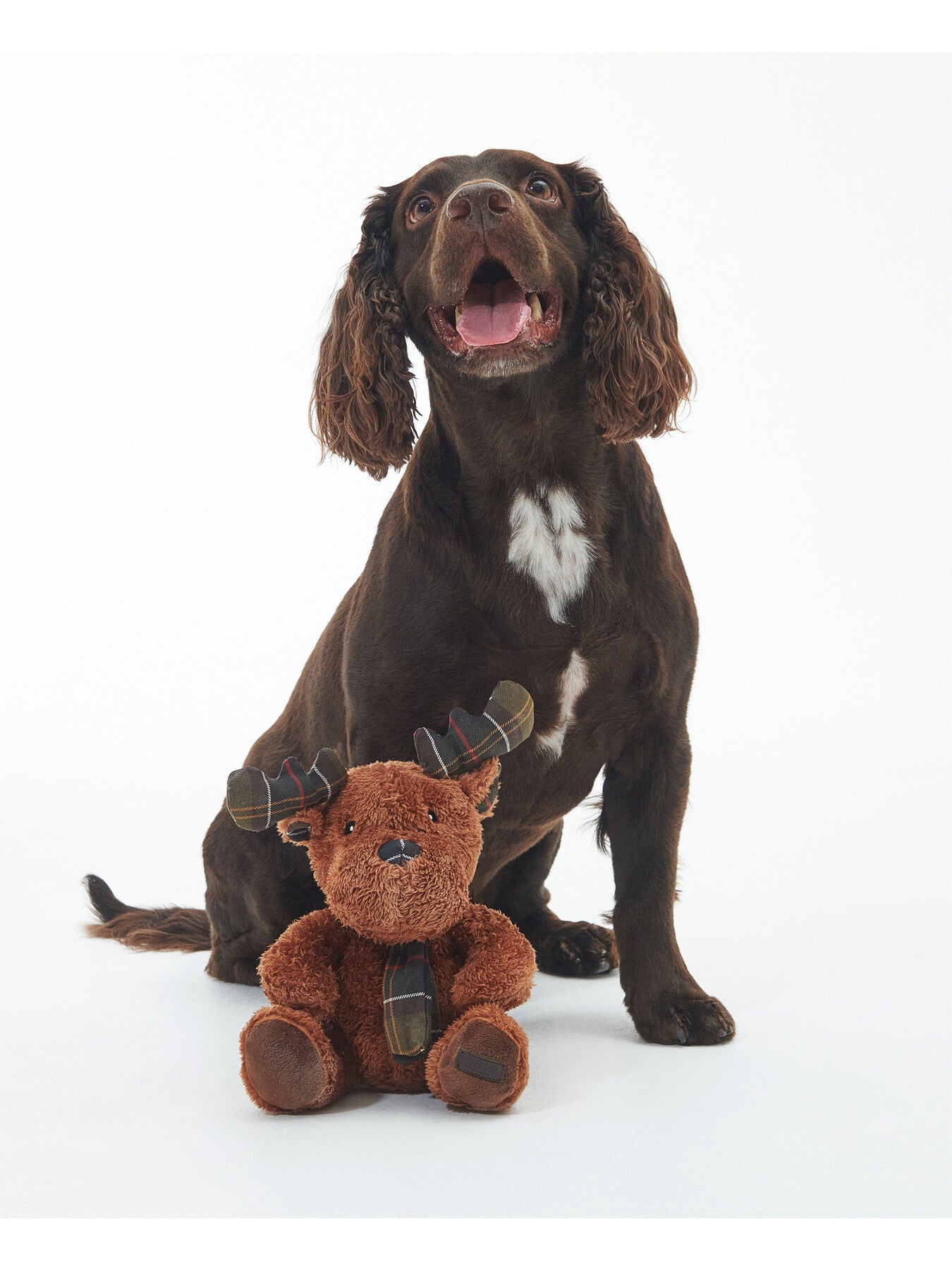 Reindeer Dog Toy