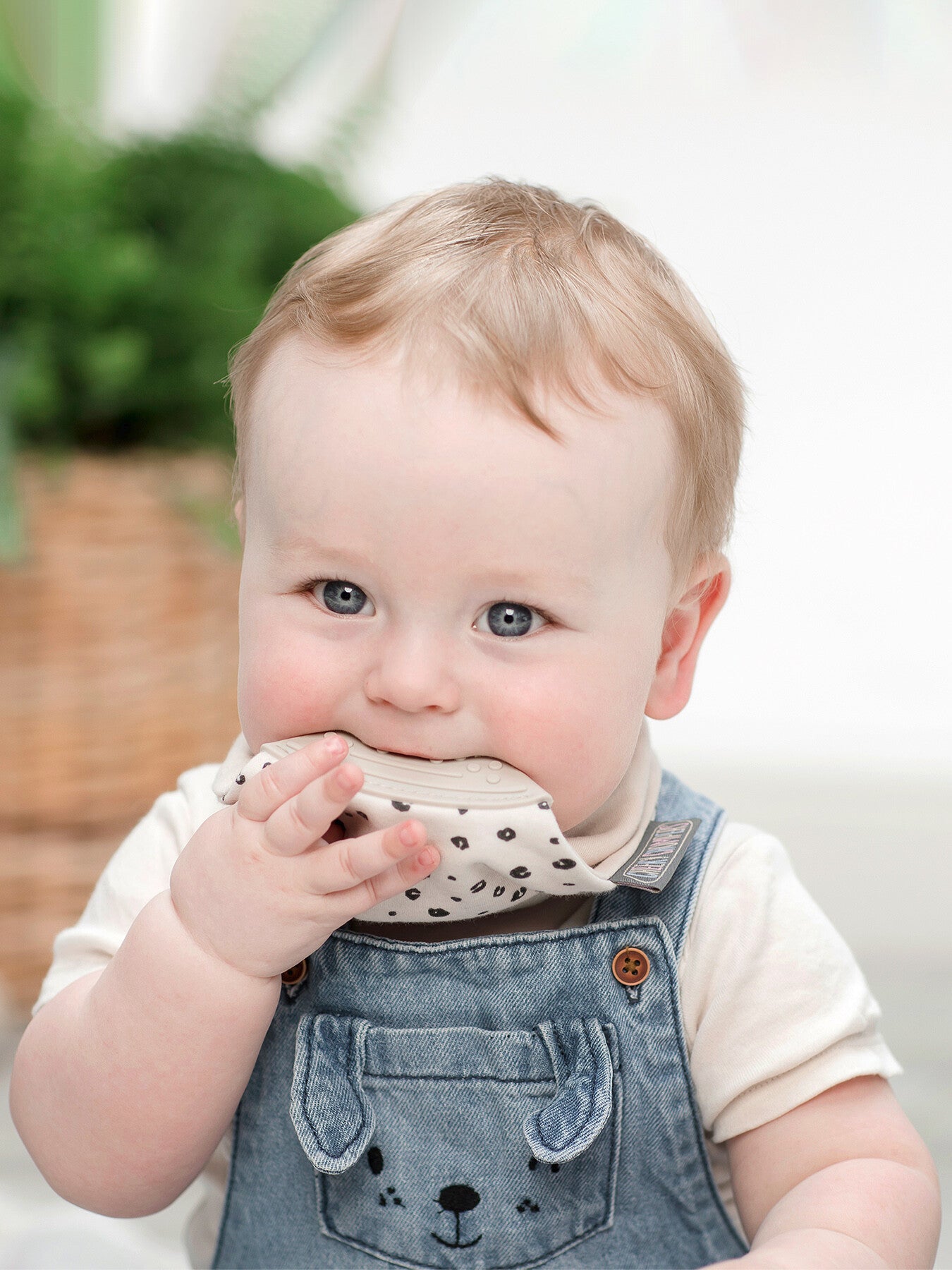 Cheeky Chompers Teething Dribble Bib Leopard Spots