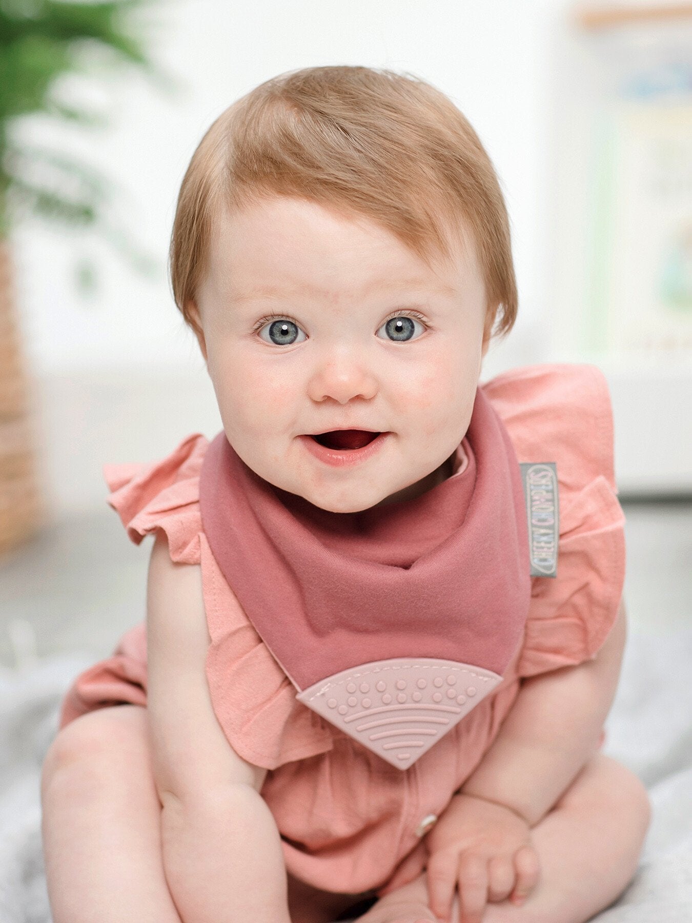 Cheeky Chompers Teething Dribble Bib Rainbow Rose