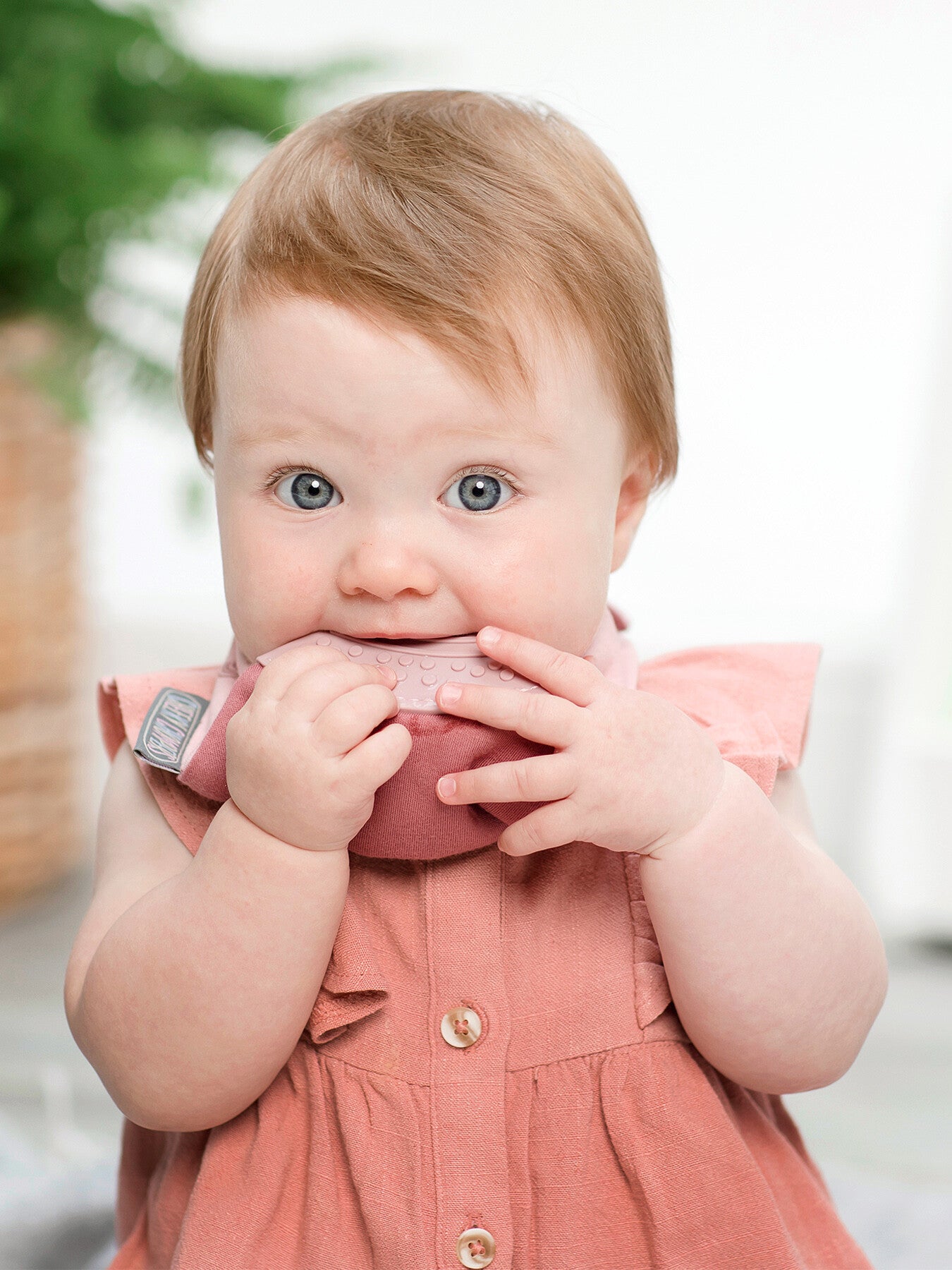 Cheeky Chompers Teething Dribble Bib Rainbow Rose
