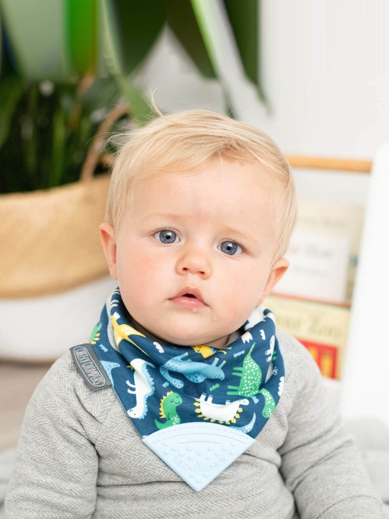 Cheeky Chompers Teething Dribble Bib Baby Dino
