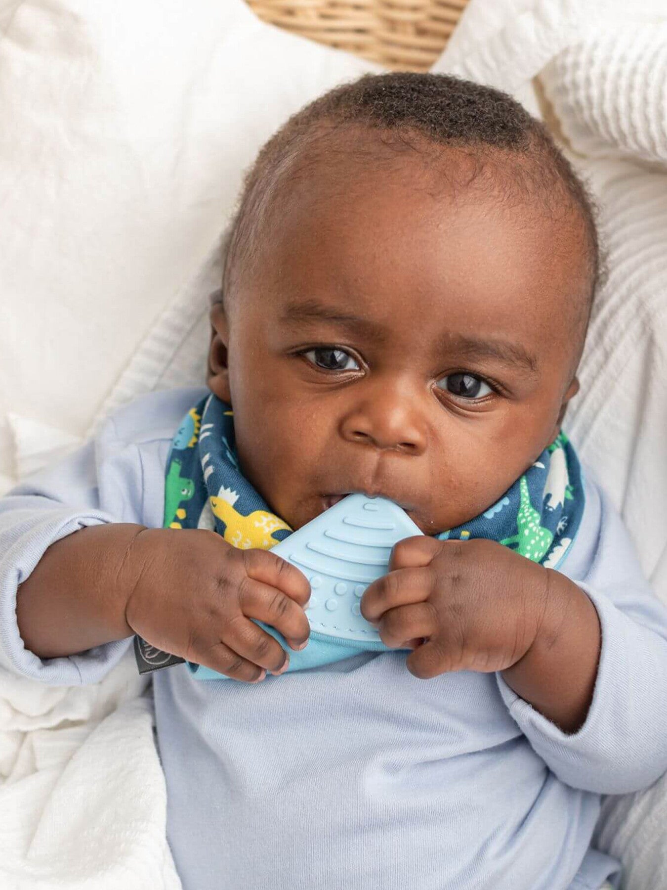 Cheeky Chompers Teething Dribble Bib Baby Dino