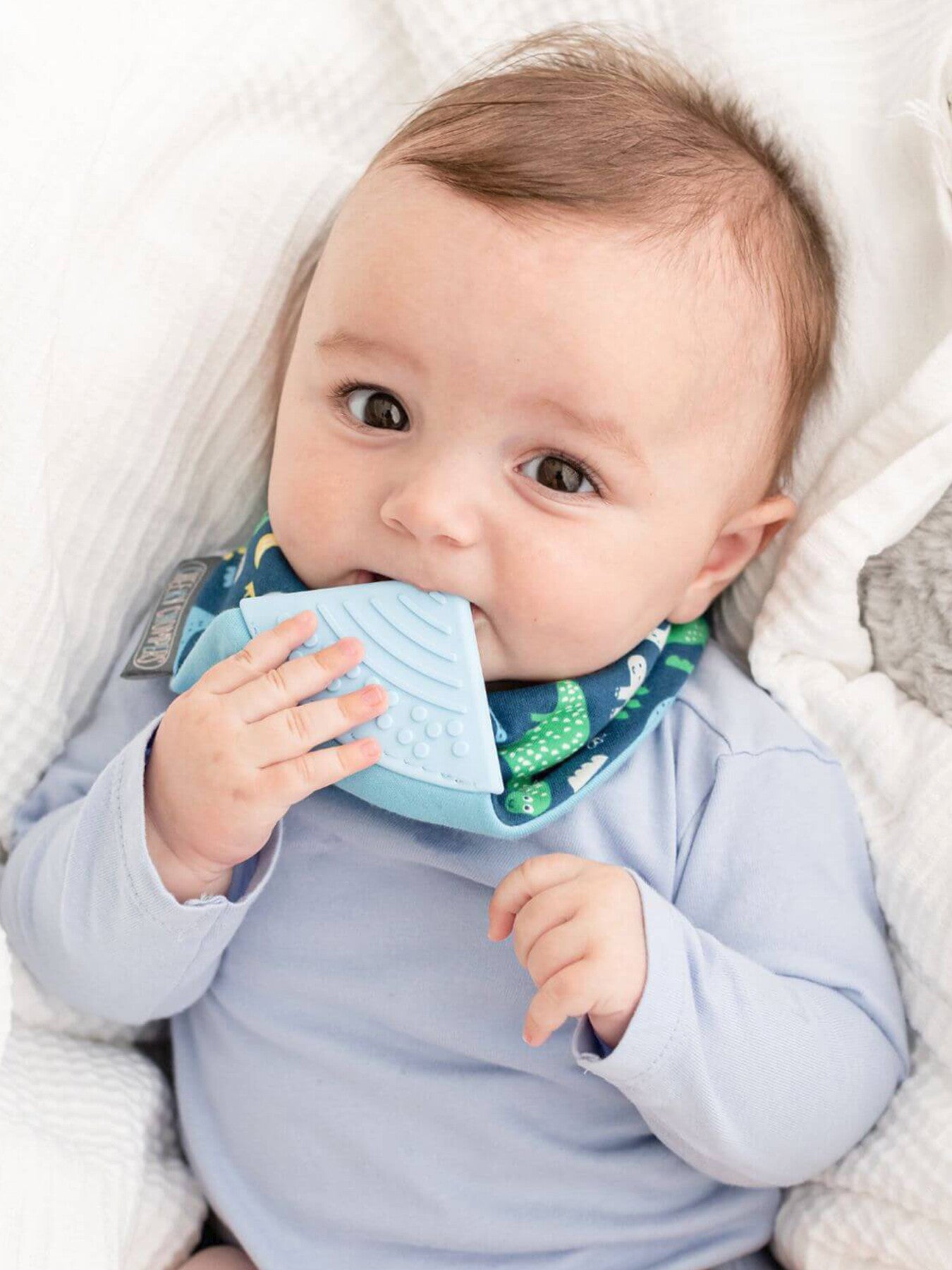 Cheeky Chompers Teething Dribble Bib Baby Dino