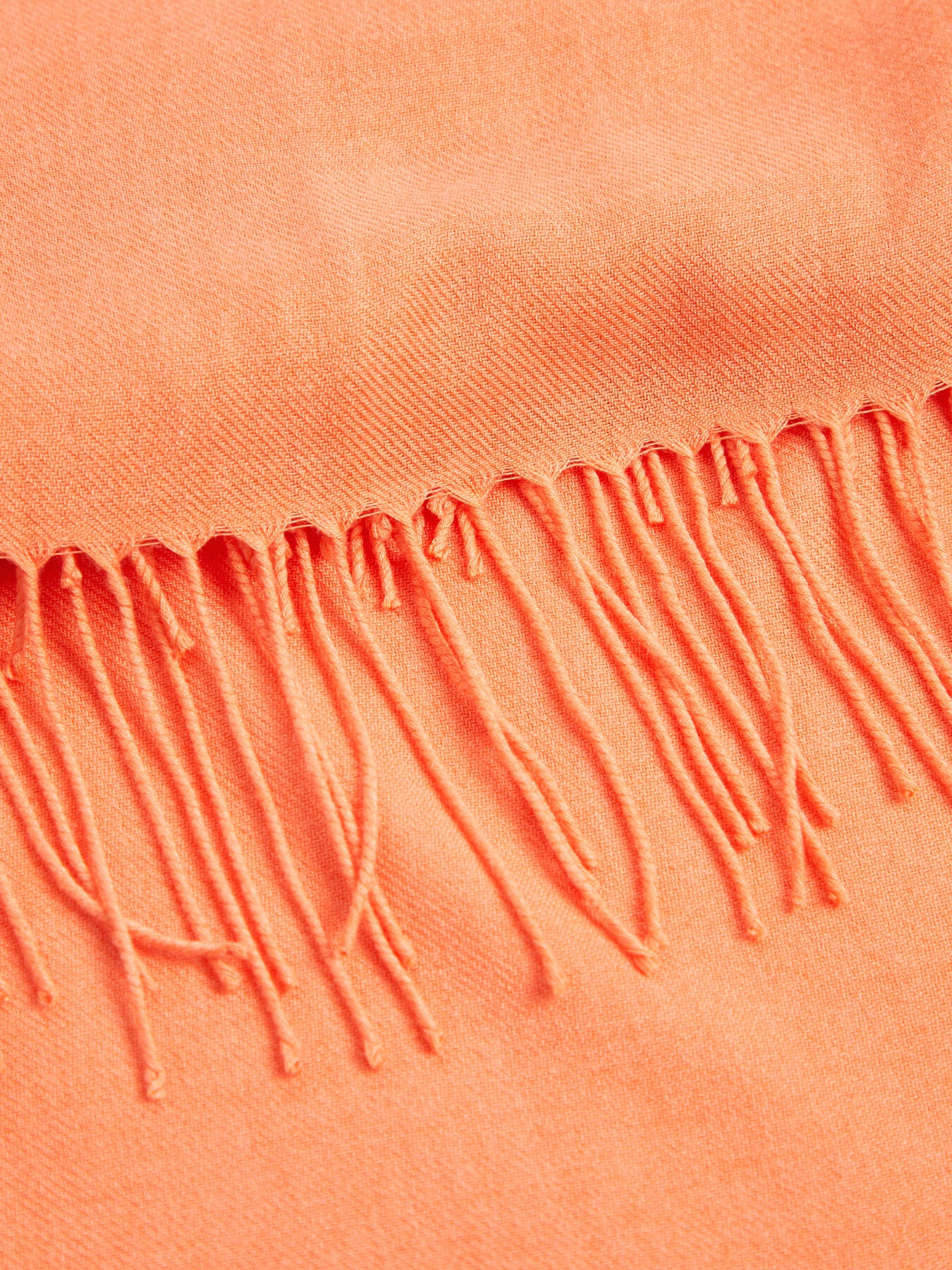 Pashmina