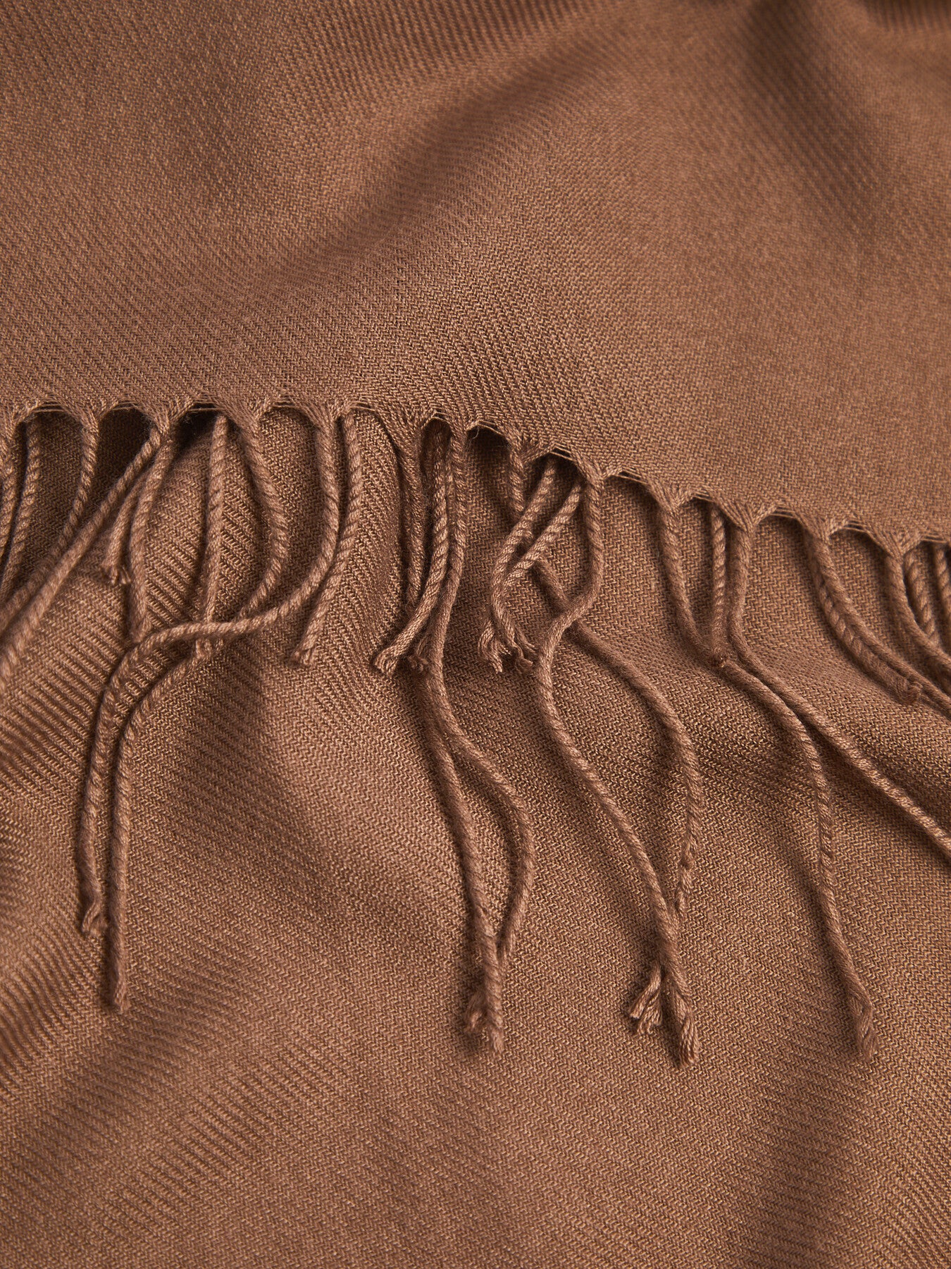 Pashmina