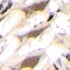 Argento