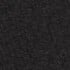Black Carbon