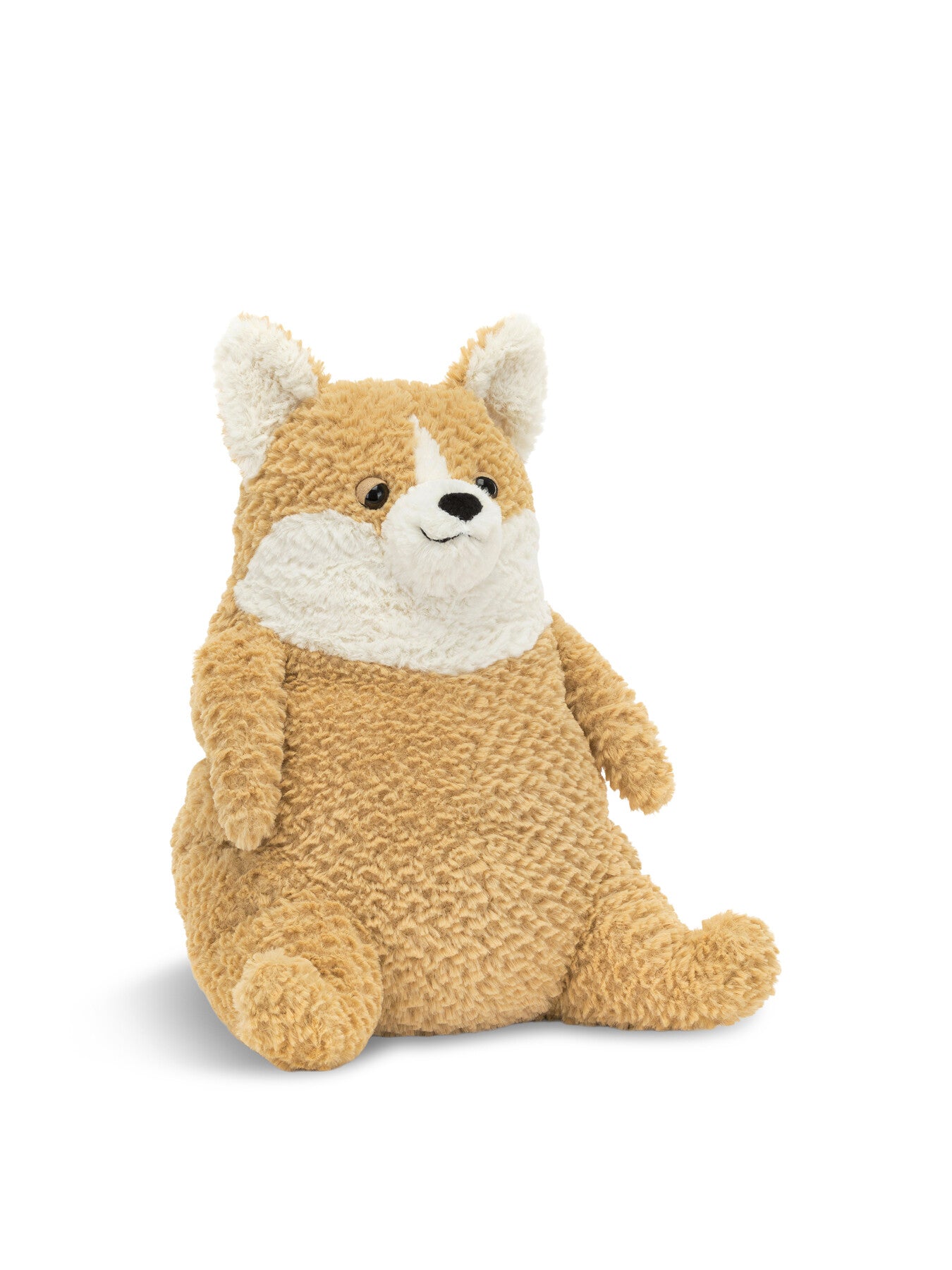 Amore Corgi