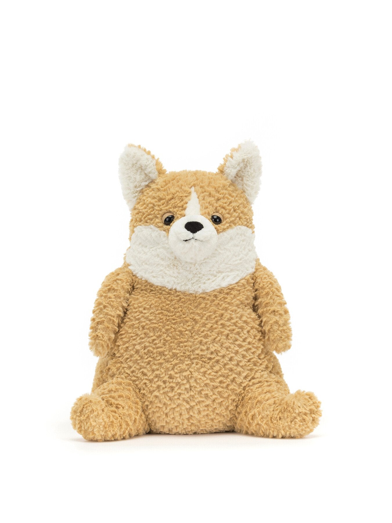 Amore Corgi
