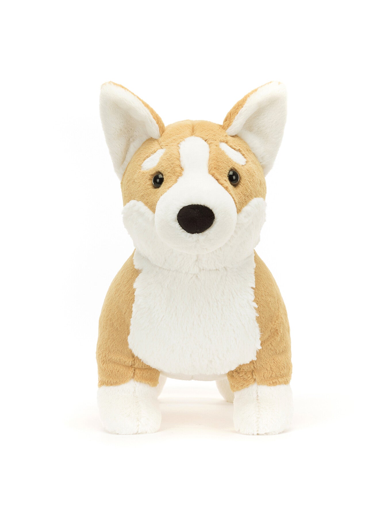 Betty Corgi Big