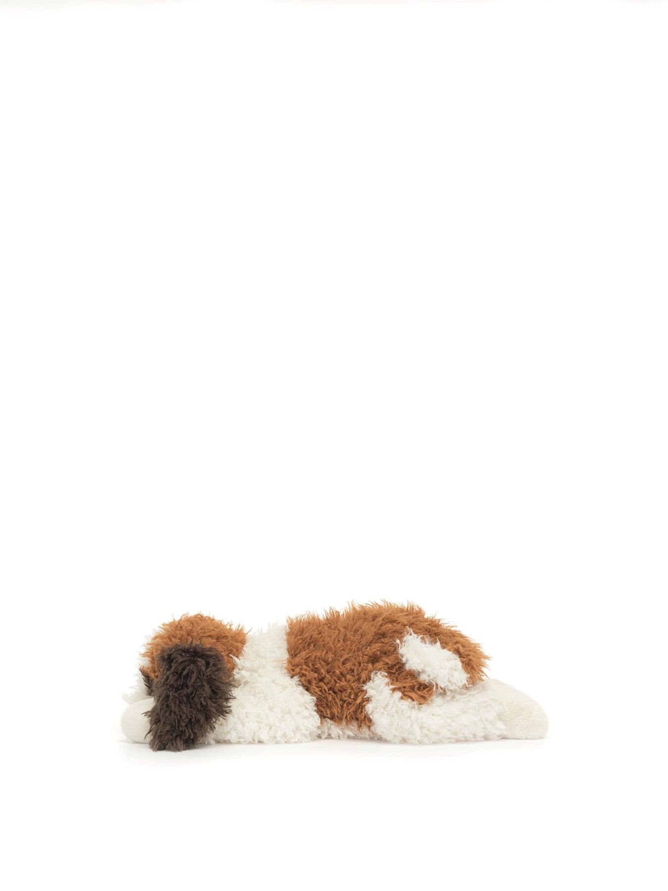 Floofie St Bernard