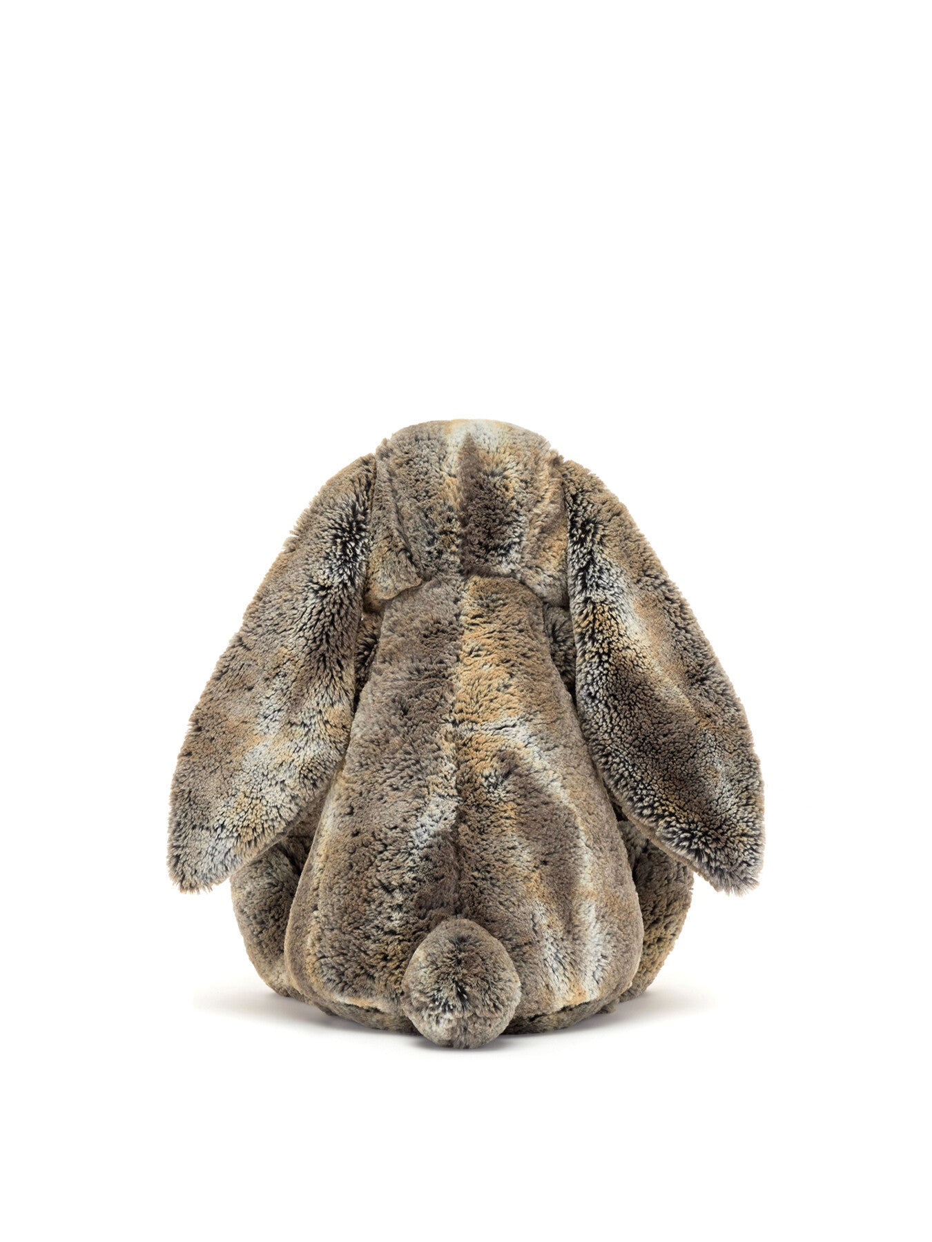 Bashful Cottontail Bunny Really Big