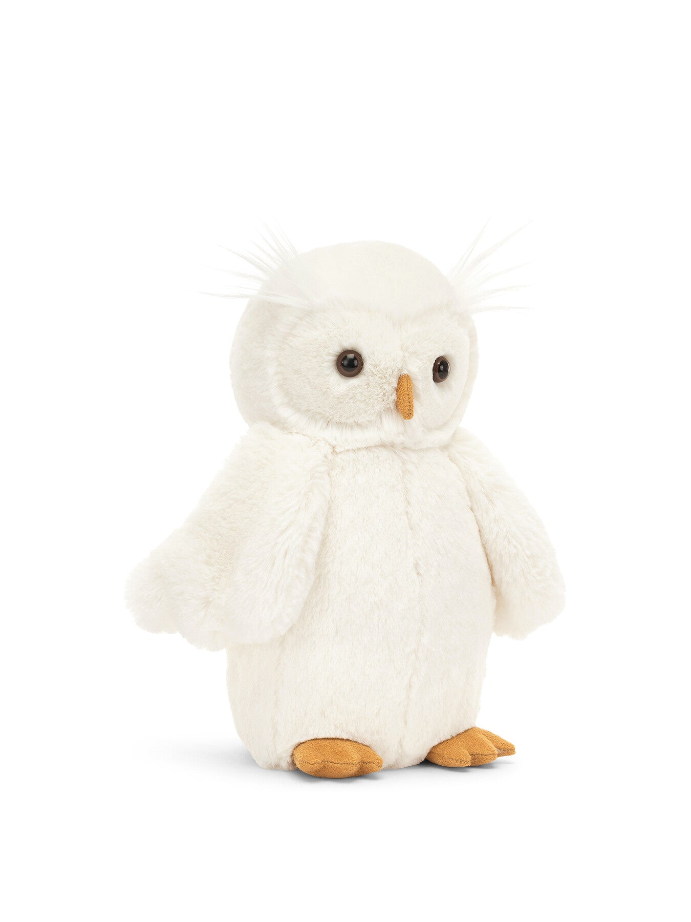 Bashful Owl