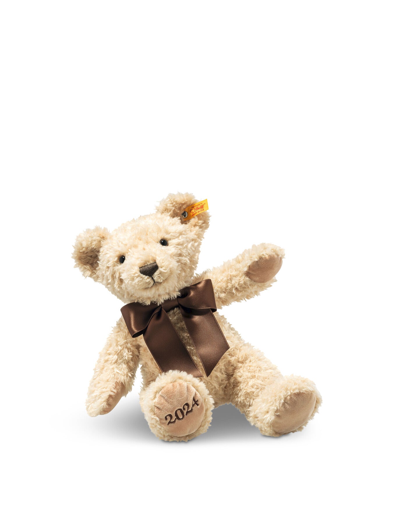 Cosy Bear Year 2024