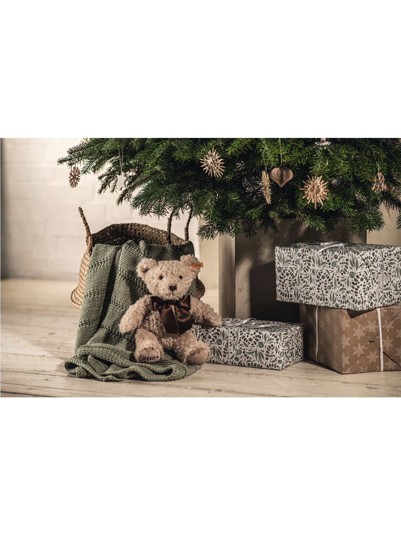 Cosy Bear Year 2024