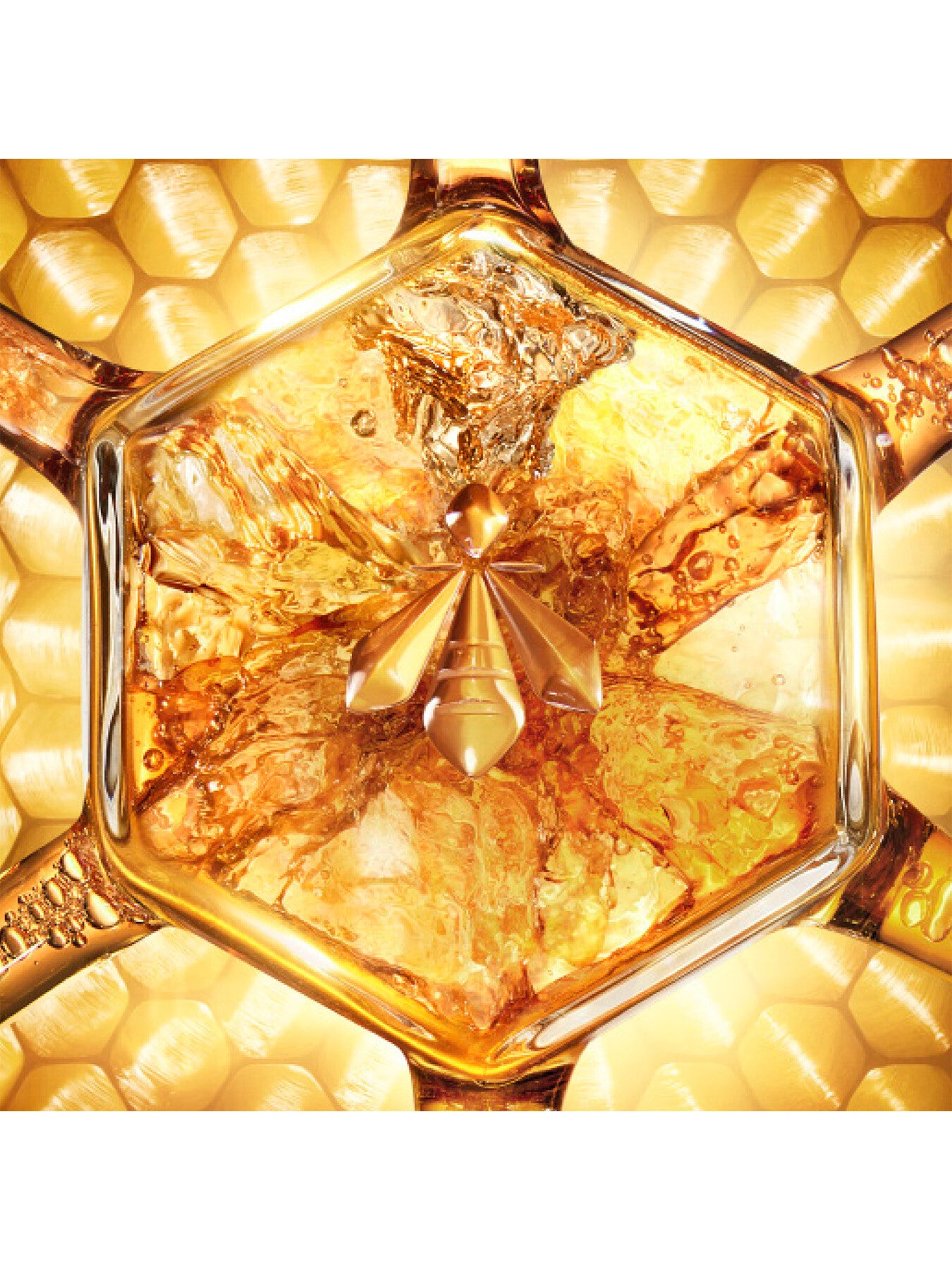 Abeille Royale Night Cream 50ml Refill