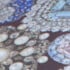 The Crown Jewels