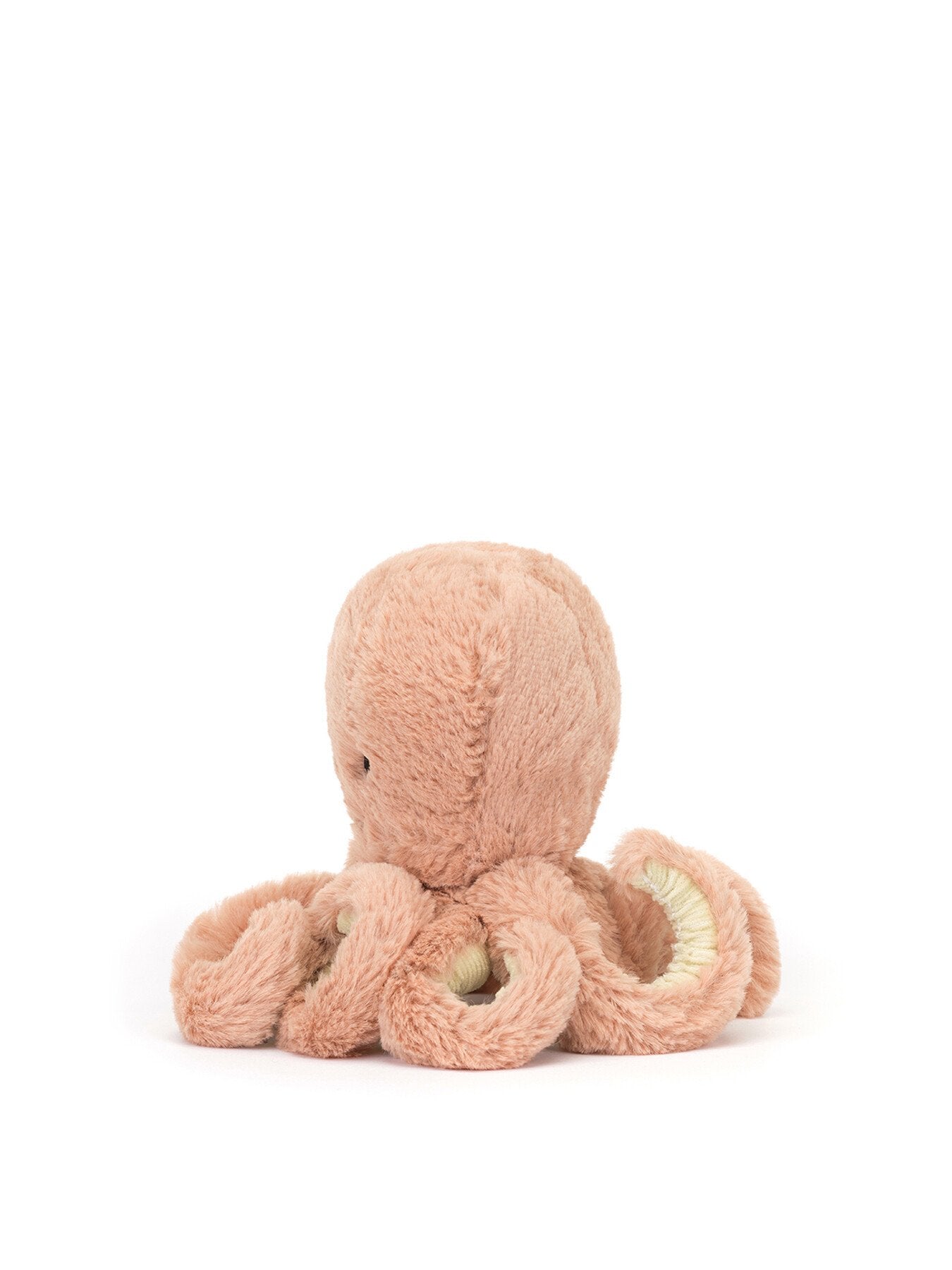 Odell Octopus Baby