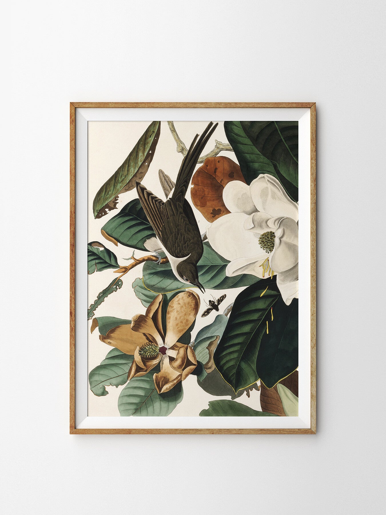 In the Magnolia Tree West