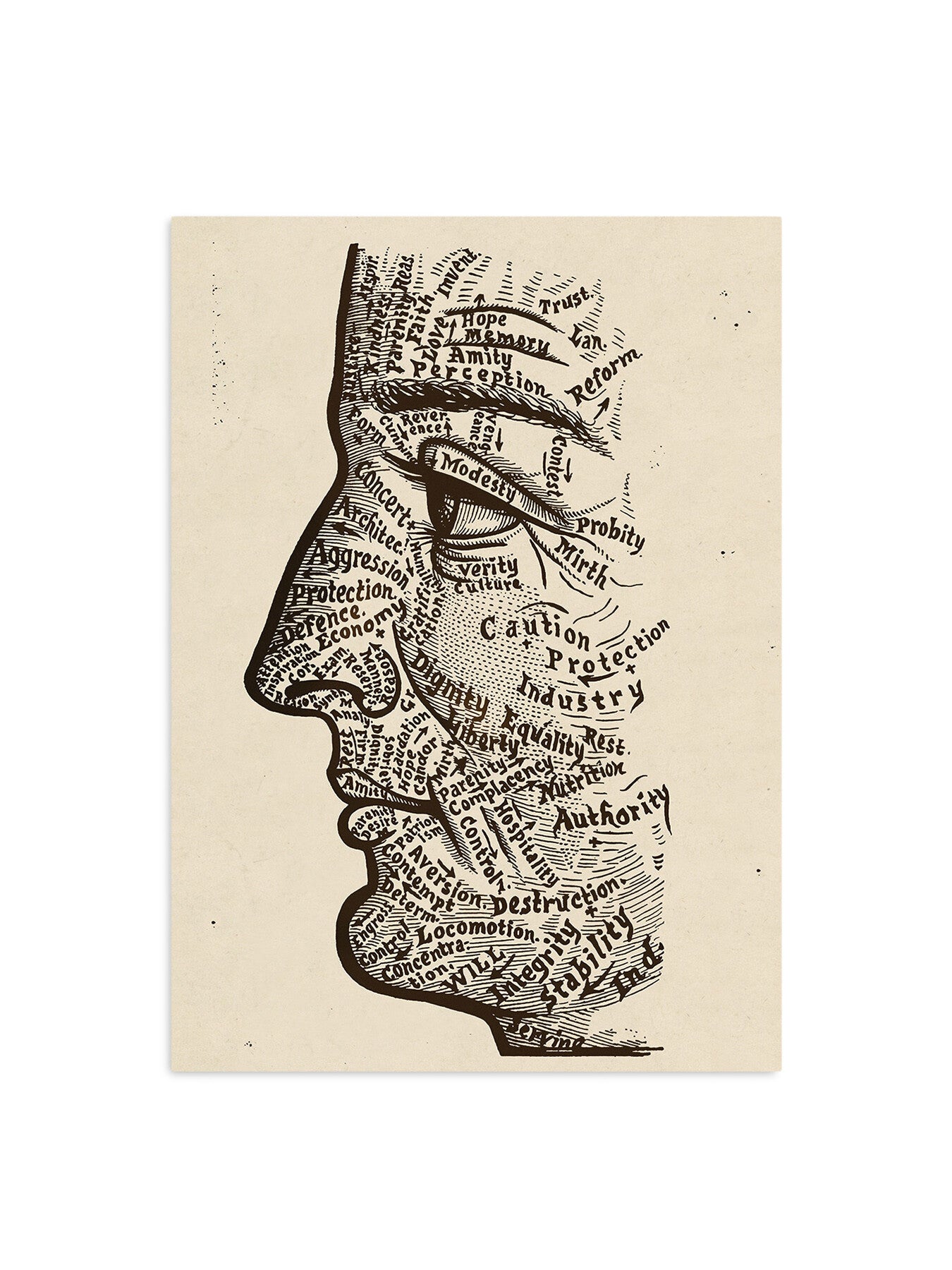 Map of the Face