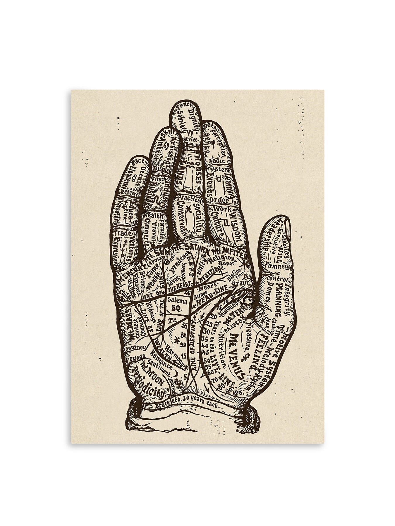 Map of the Hand