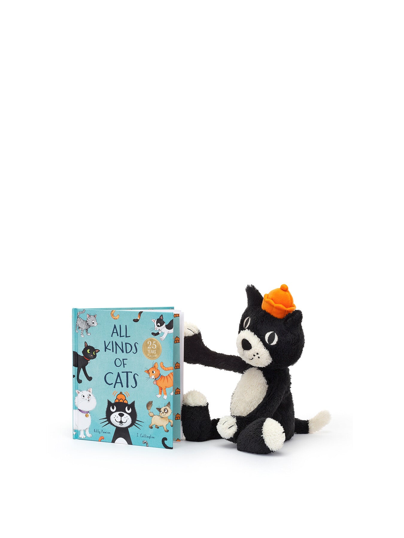 All Kinds of Cats Book