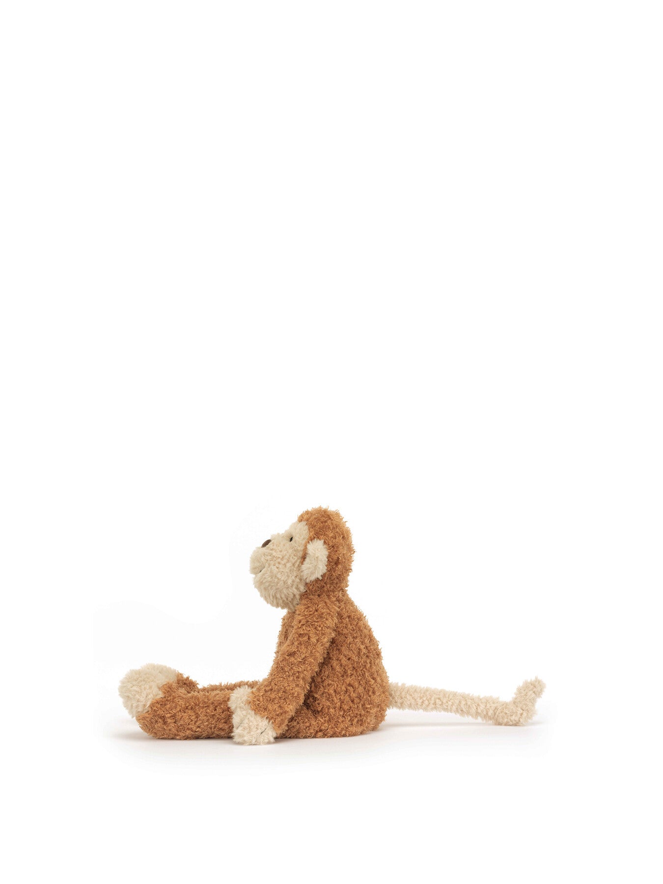 Junglie Monkey