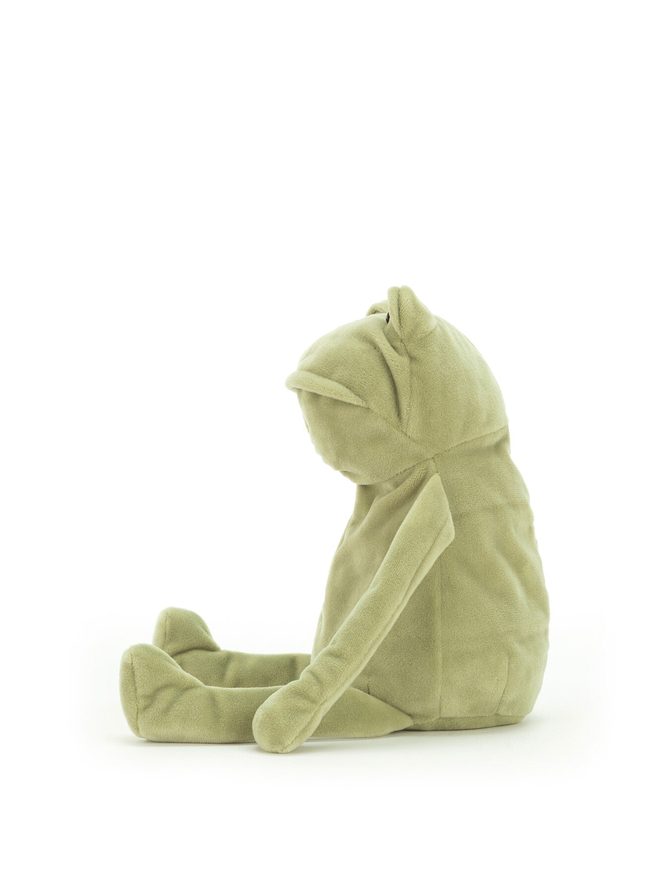 Fergus Frog