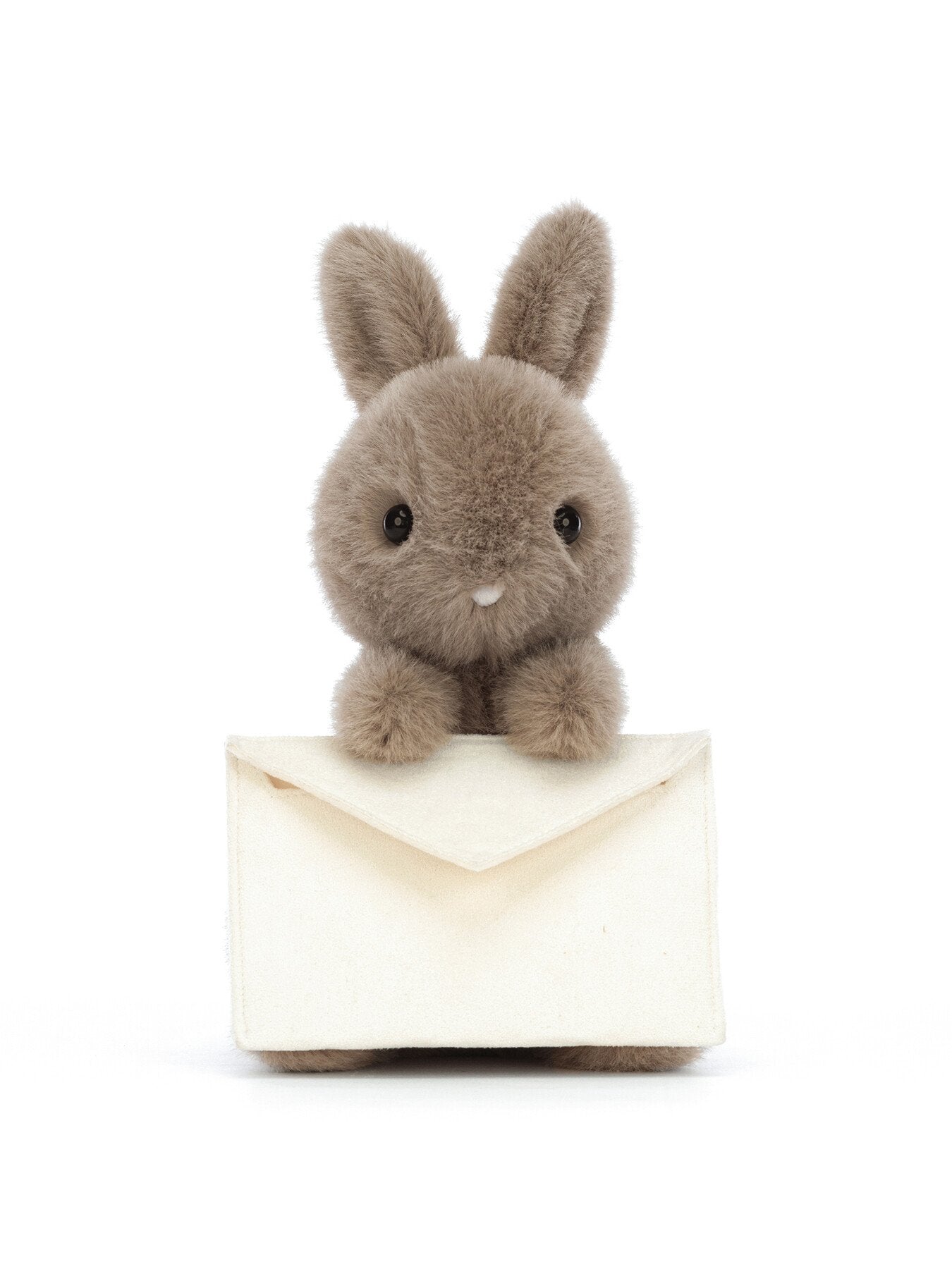 Messenger Bunny