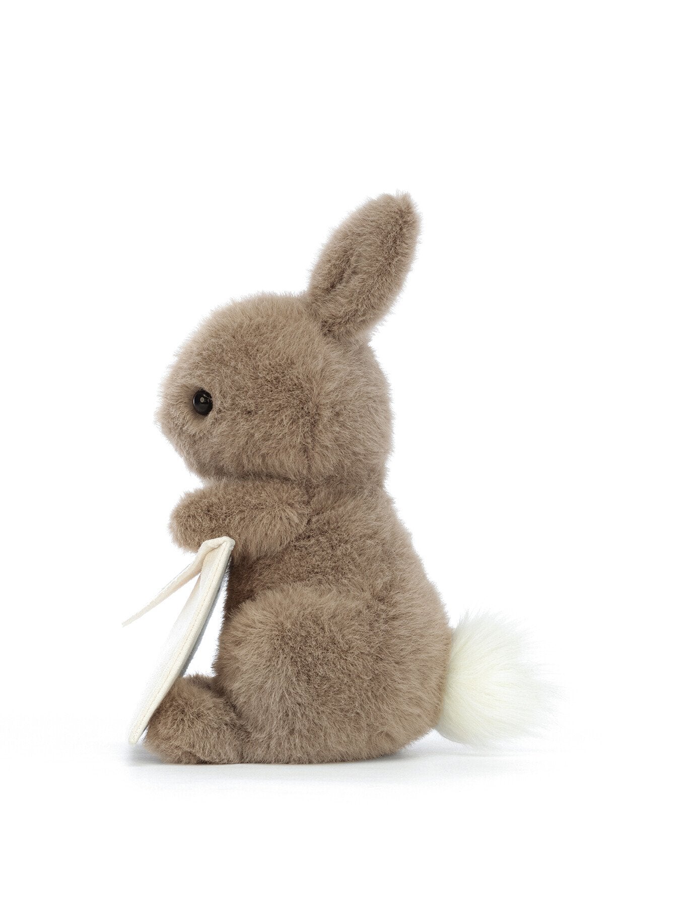 Messenger Bunny