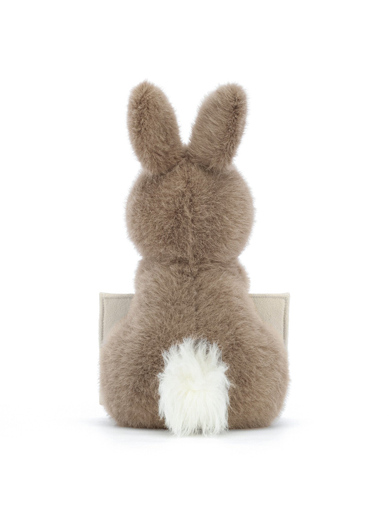 Messenger Bunny