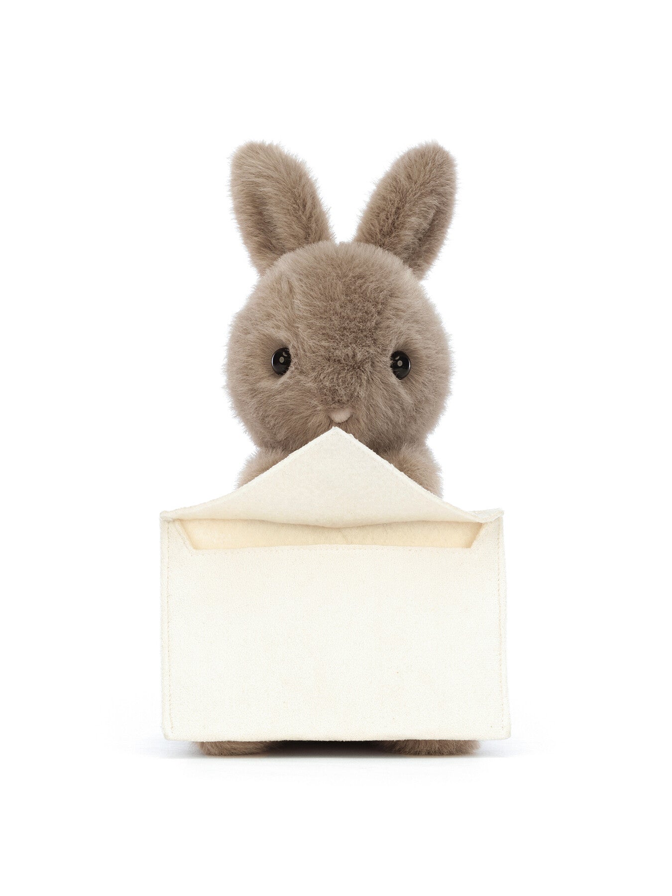Messenger Bunny
