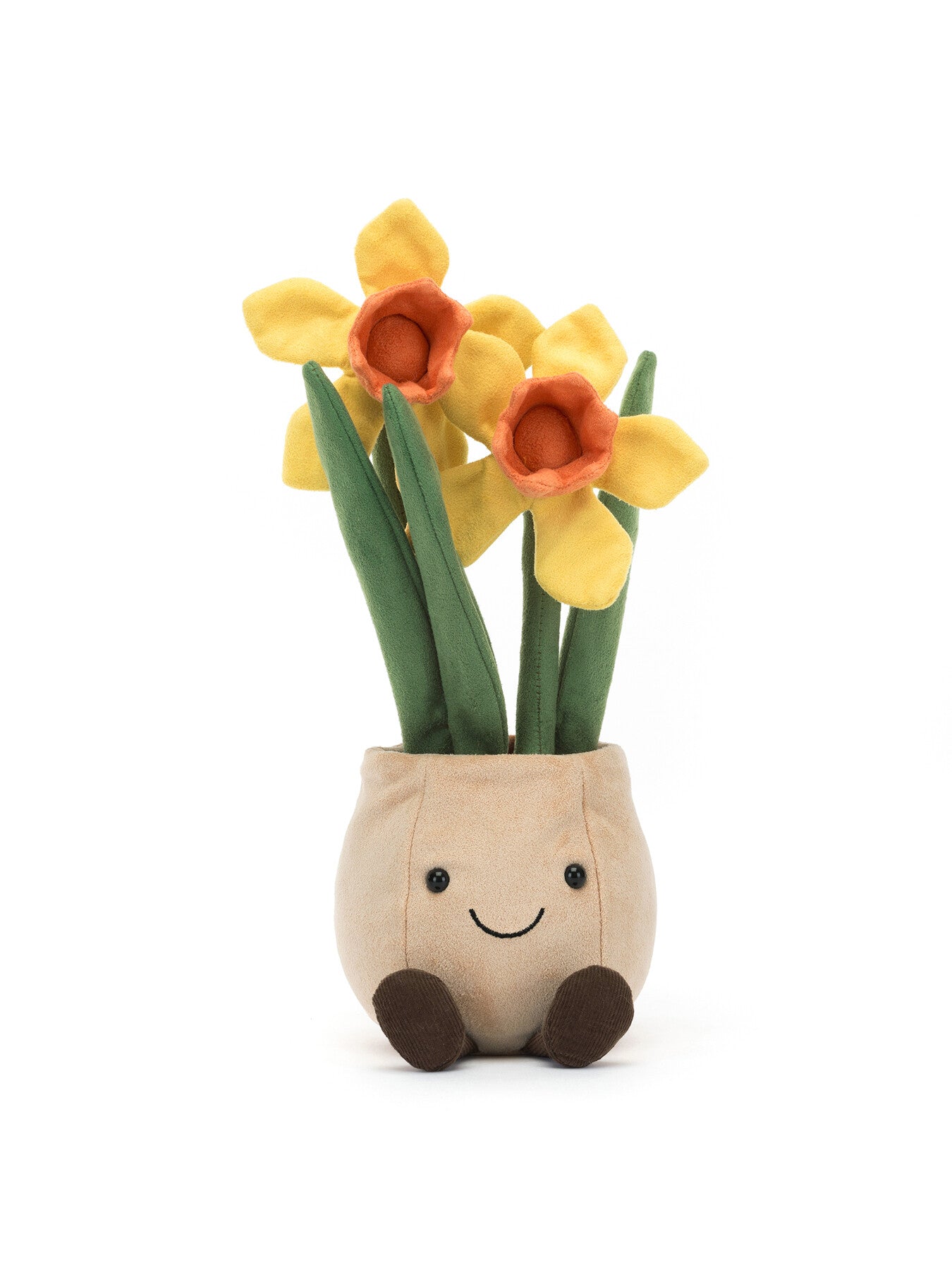 Amuseable Daffodil Pot