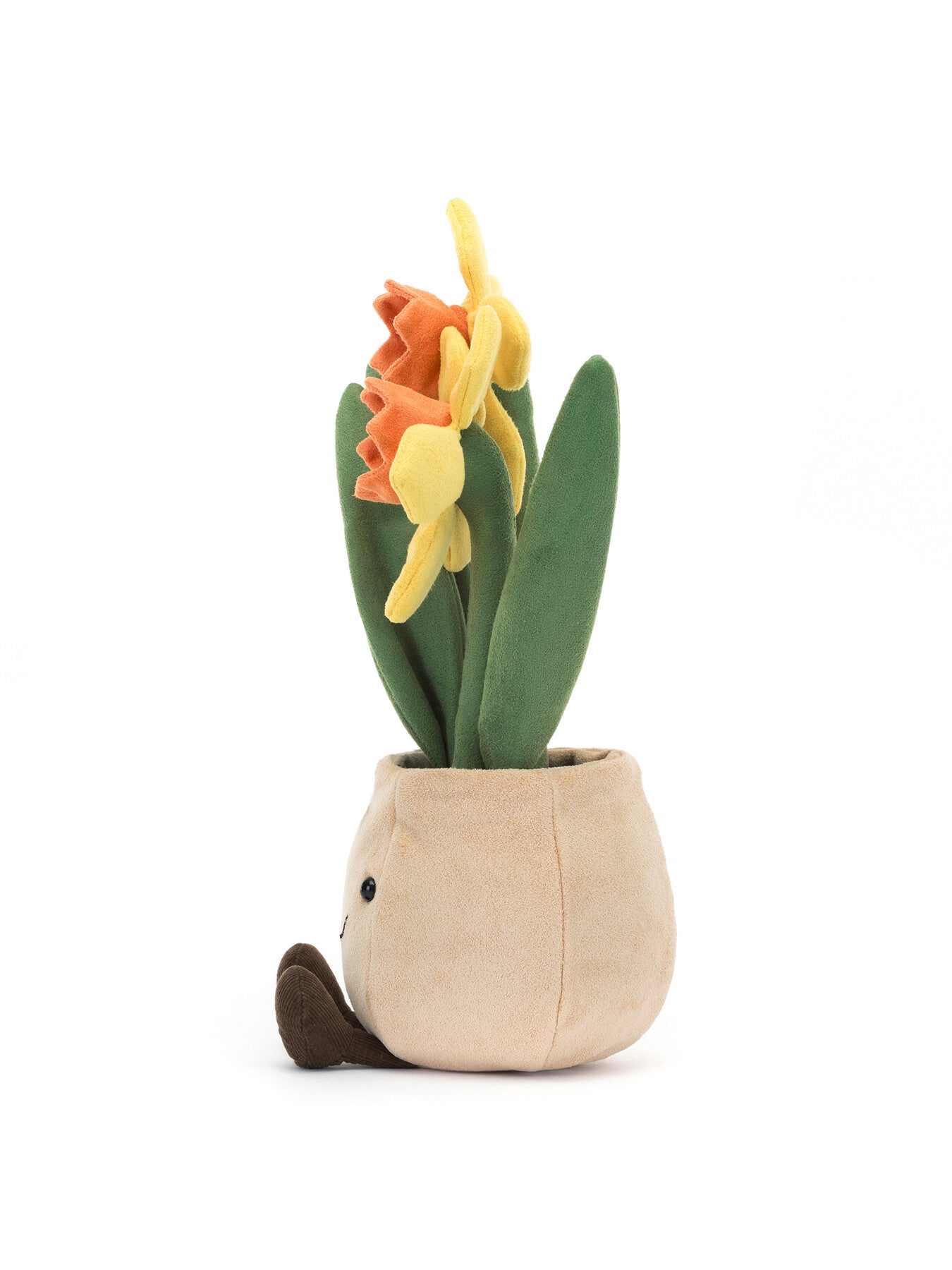 Amuseable Daffodil Pot
