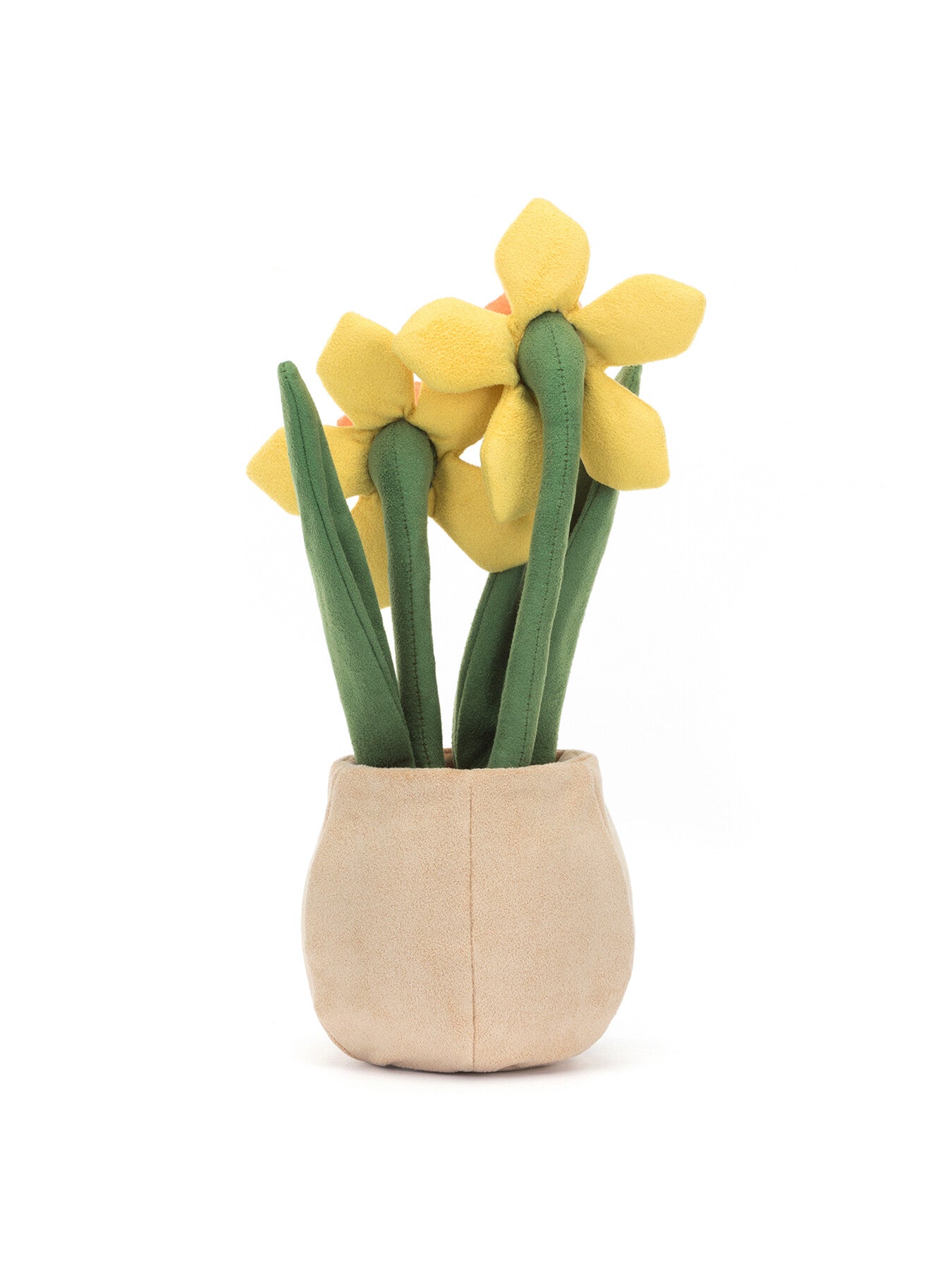 Amuseable Daffodil Pot