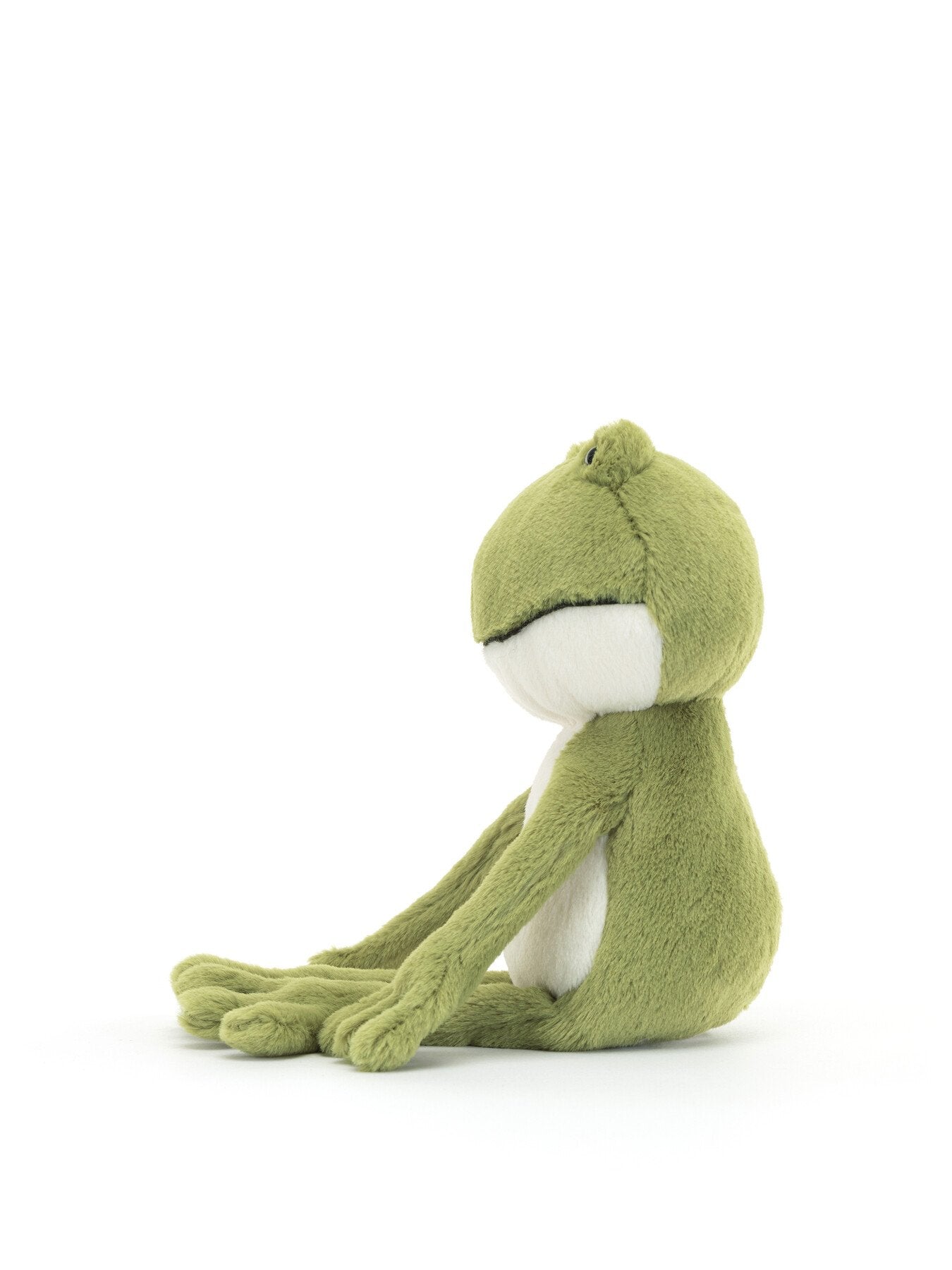 Finnegan Frog
